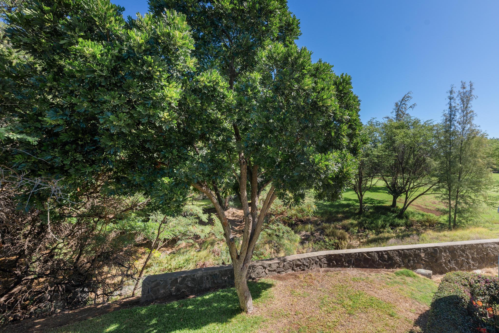 68-3831 Lua Kula St I208 Property Photo 20