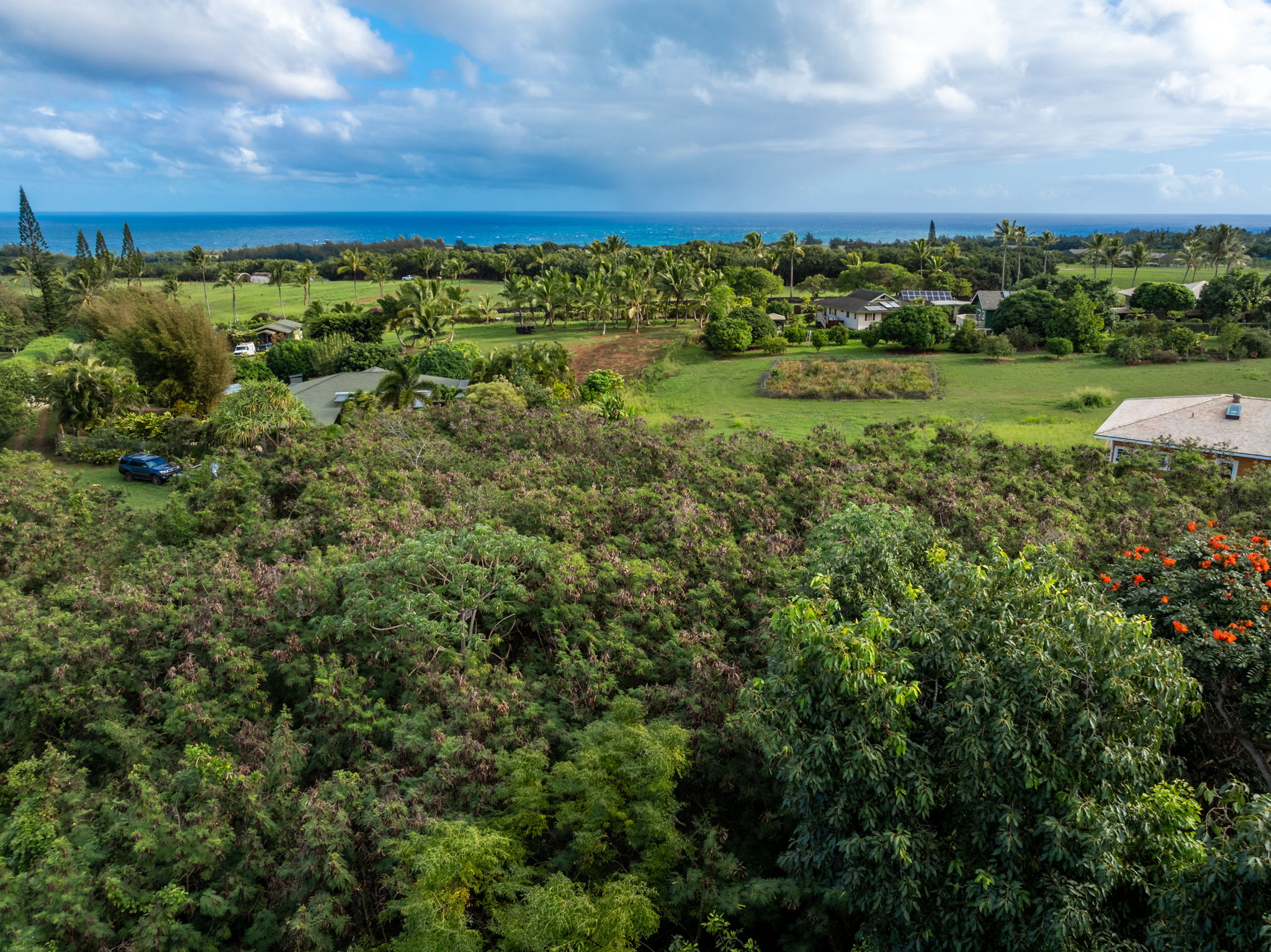 7549-a Koolau Rd Property Photo 6