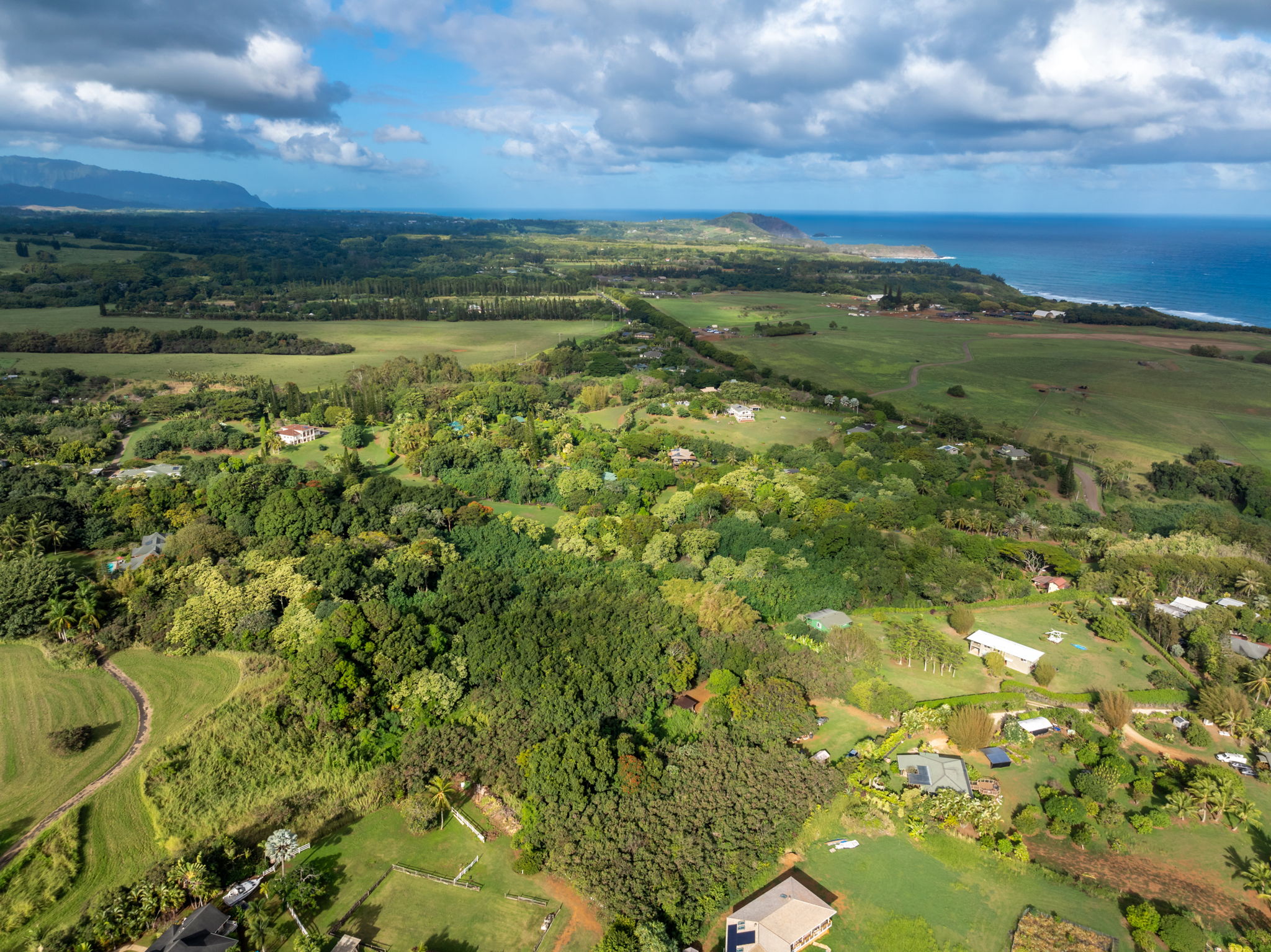 7549-a Koolau Rd Property Photo 14