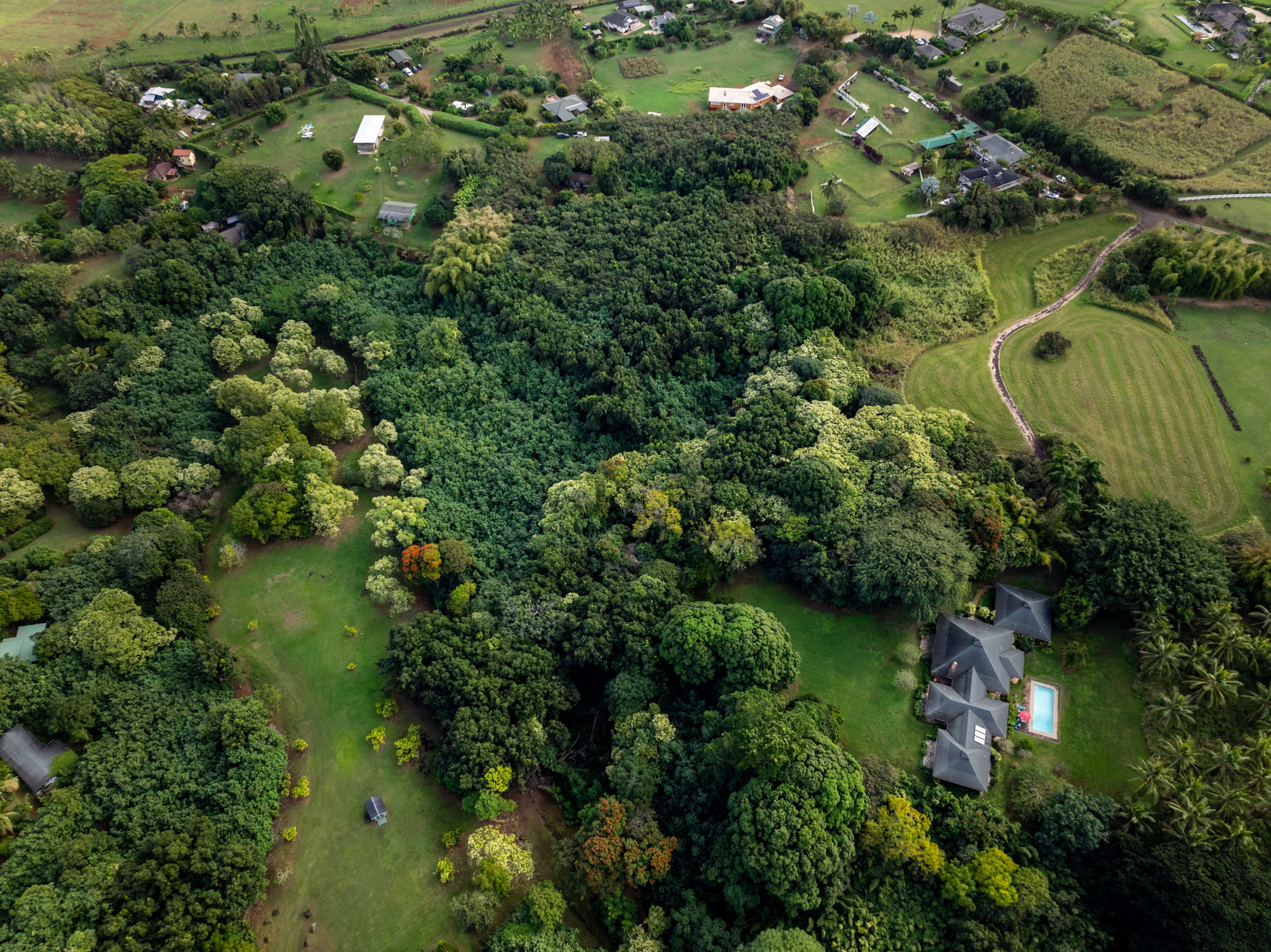7549-a Koolau Rd Property Photo 18