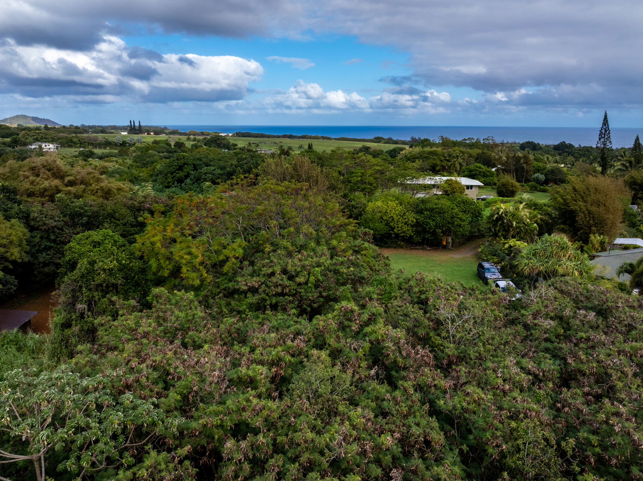7549-a Koolau Rd Property Photo 19