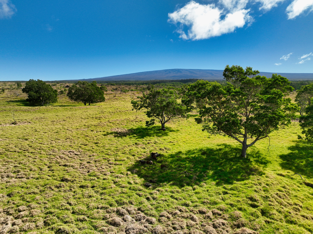 Hokukano Lot 15b Property Photo 3