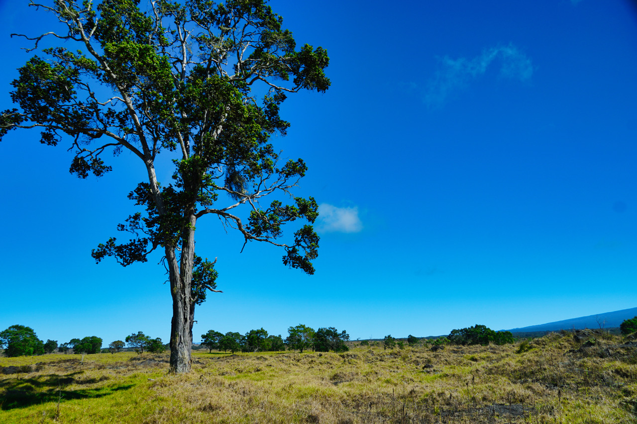 Hokukano Lot 15b Property Photo 16