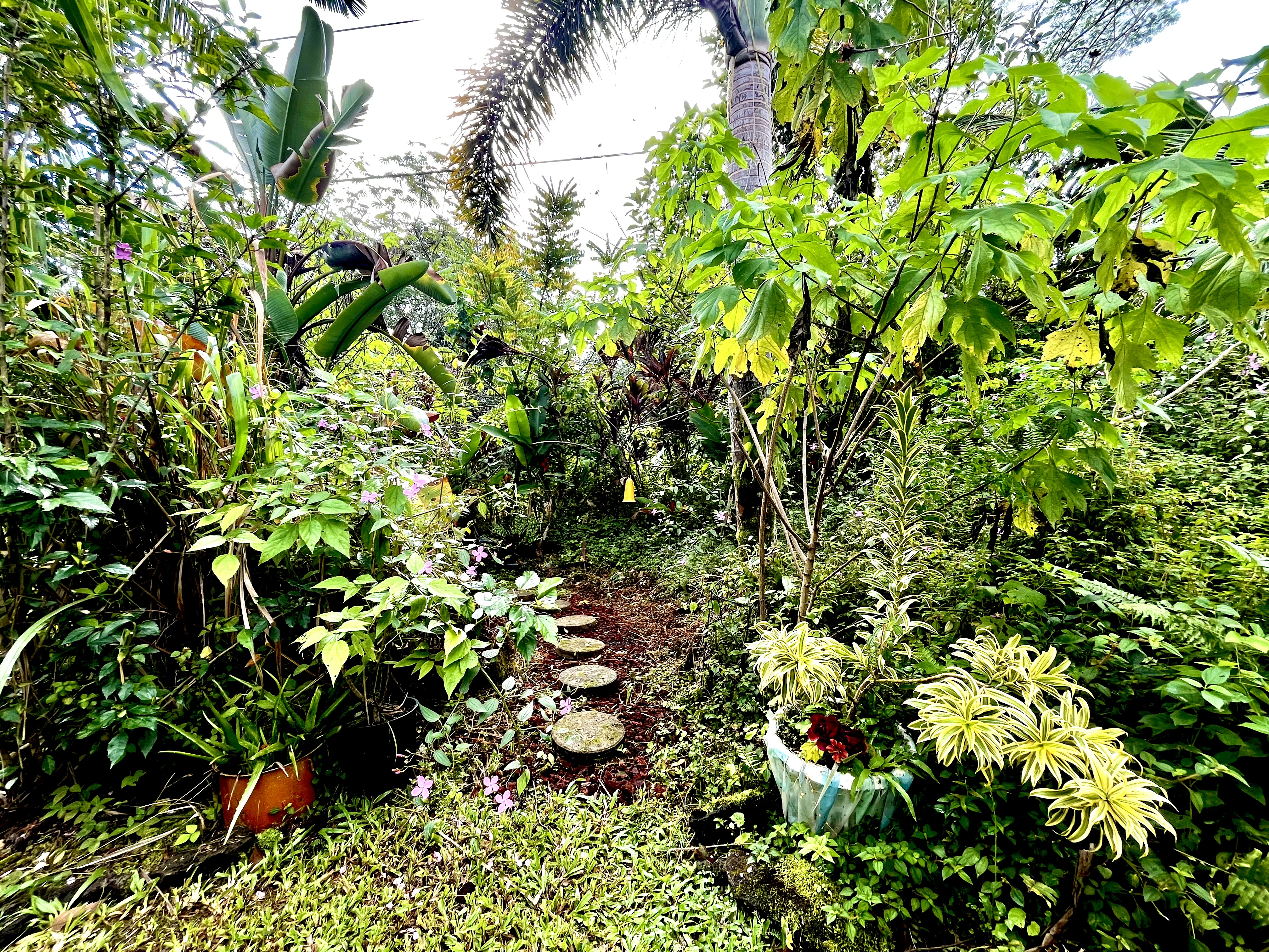 14-3473 Mauna Kea Rd Property Photo 6