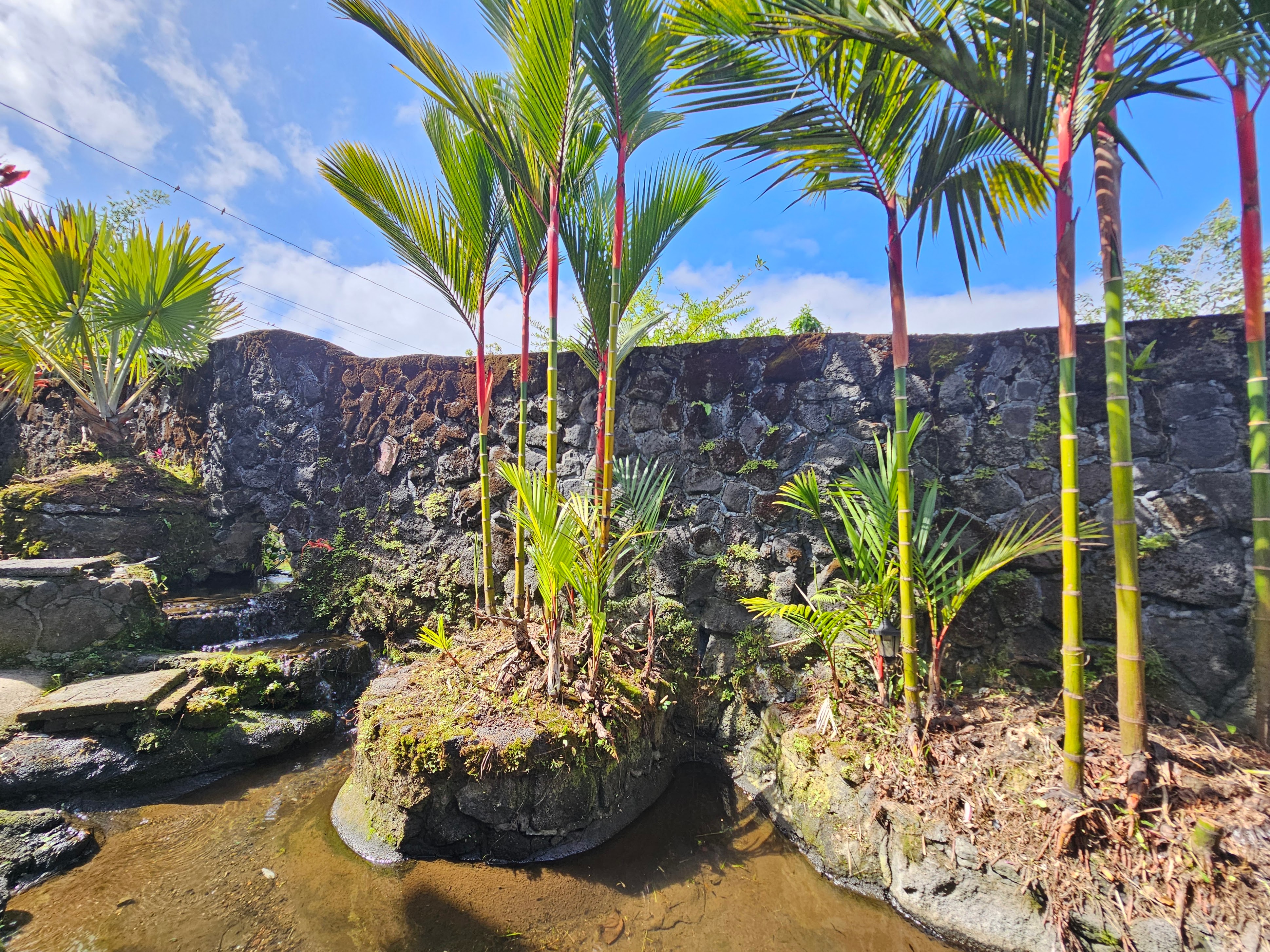 726-a Waianuenue Ave Property Photo 9