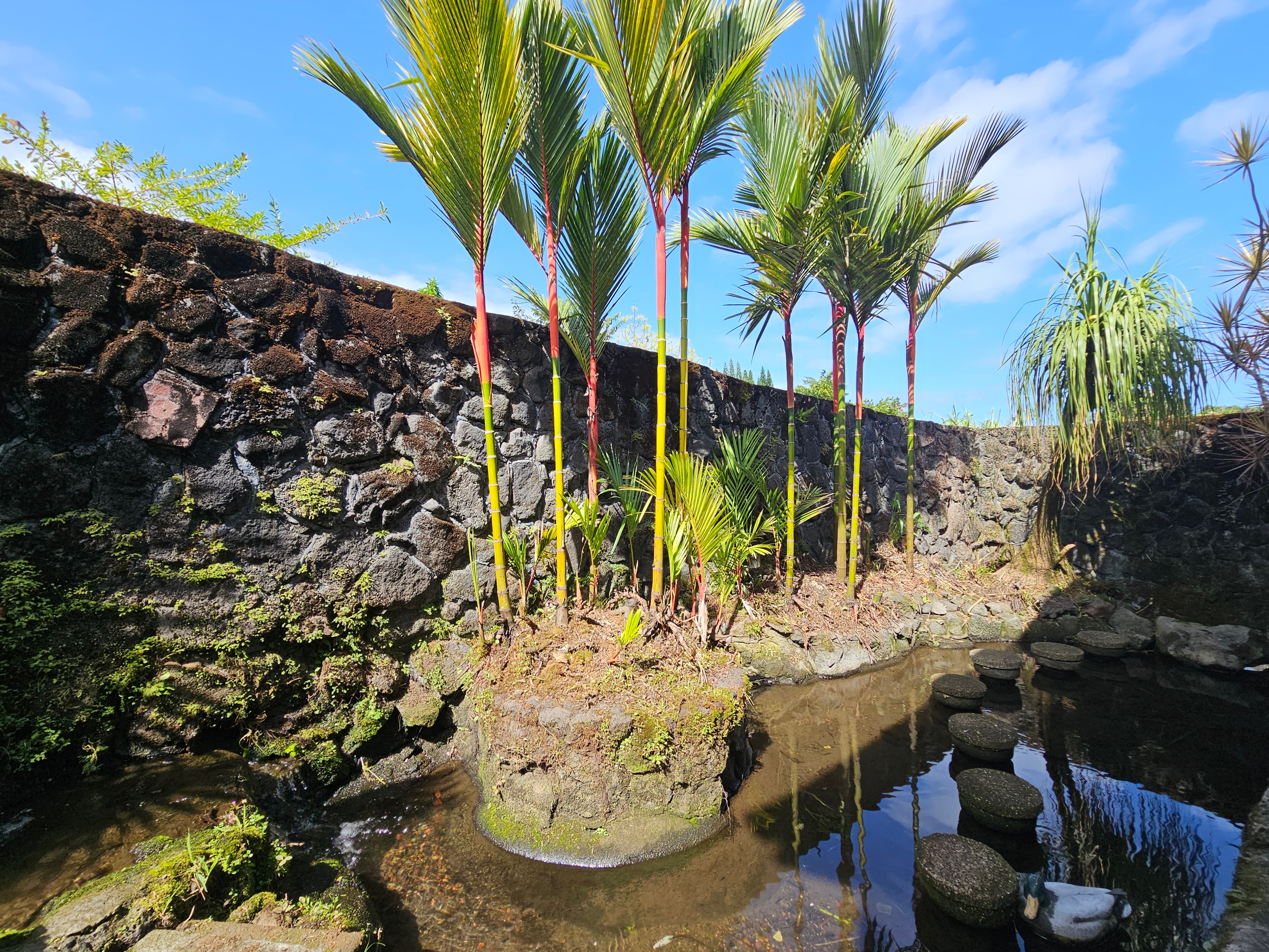 726-a Waianuenue Ave Property Photo 10