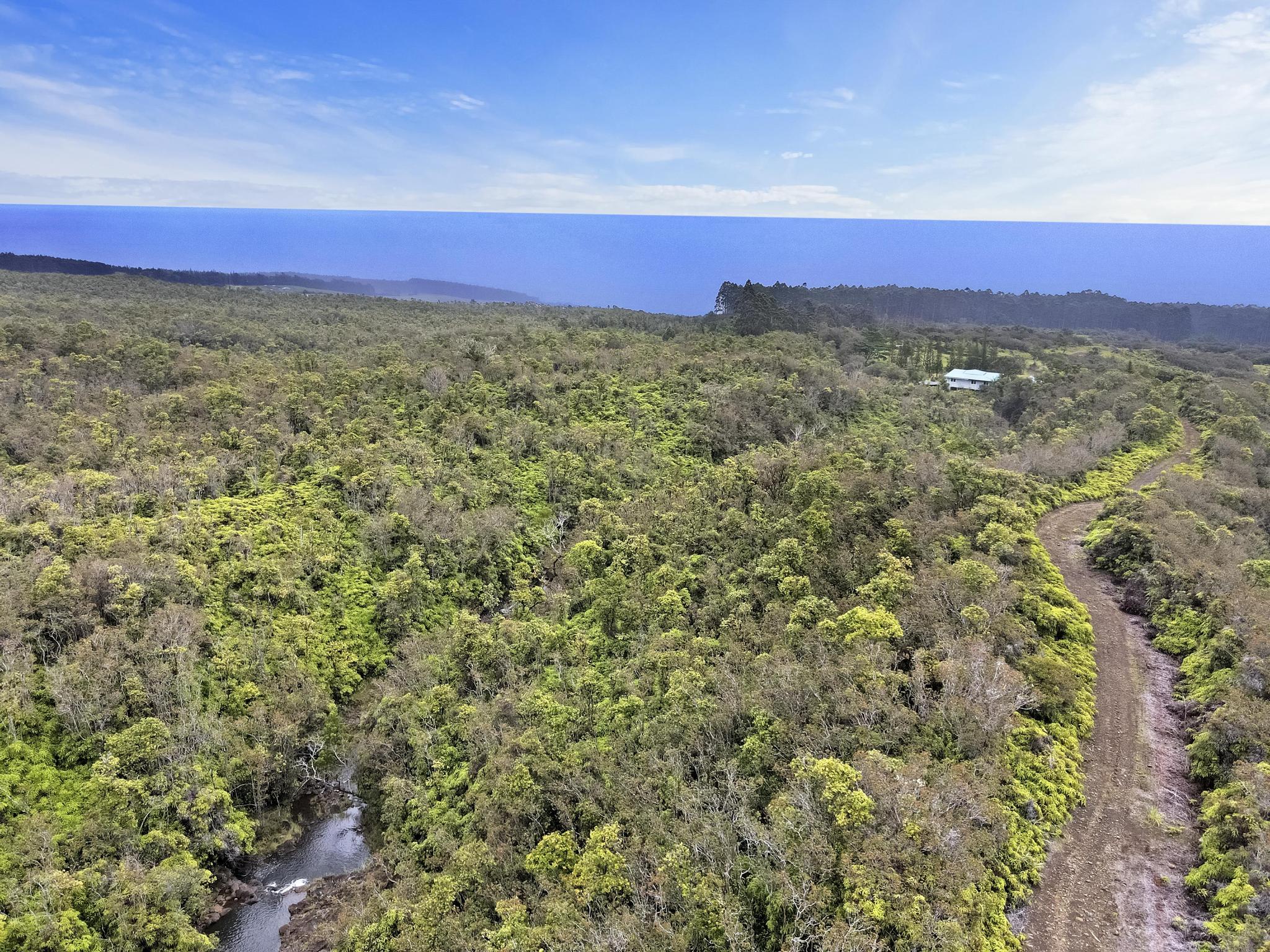 34-1480 Honomainoa Rd Property Photo 5
