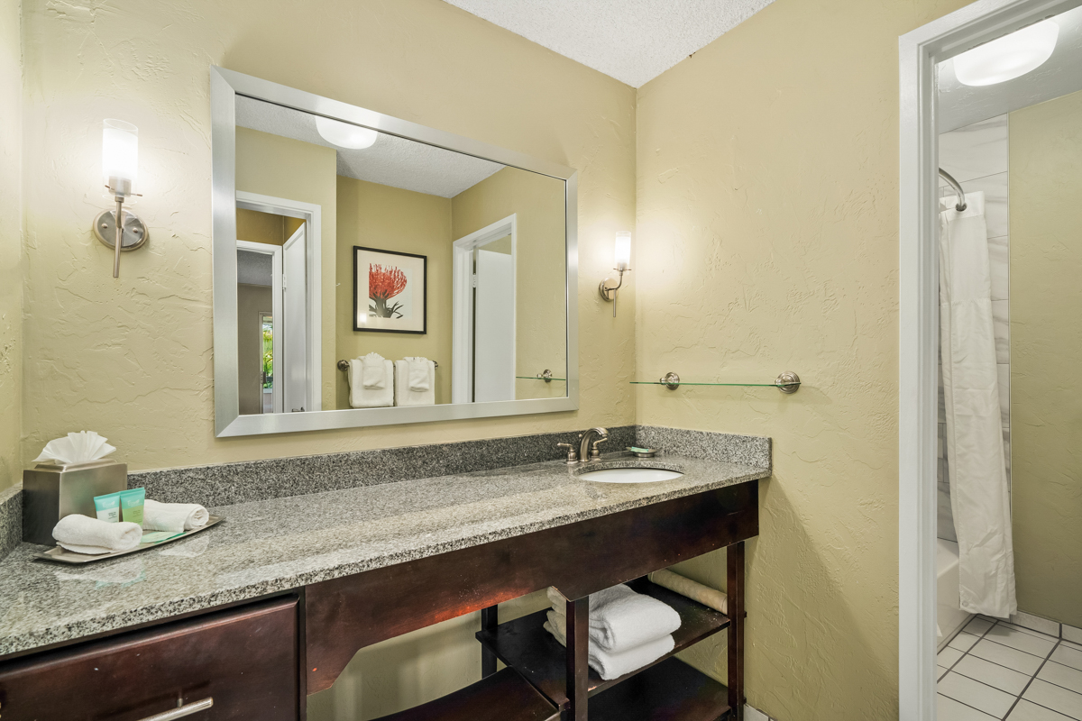 525 Aleka Lp A16 Property Photo 15