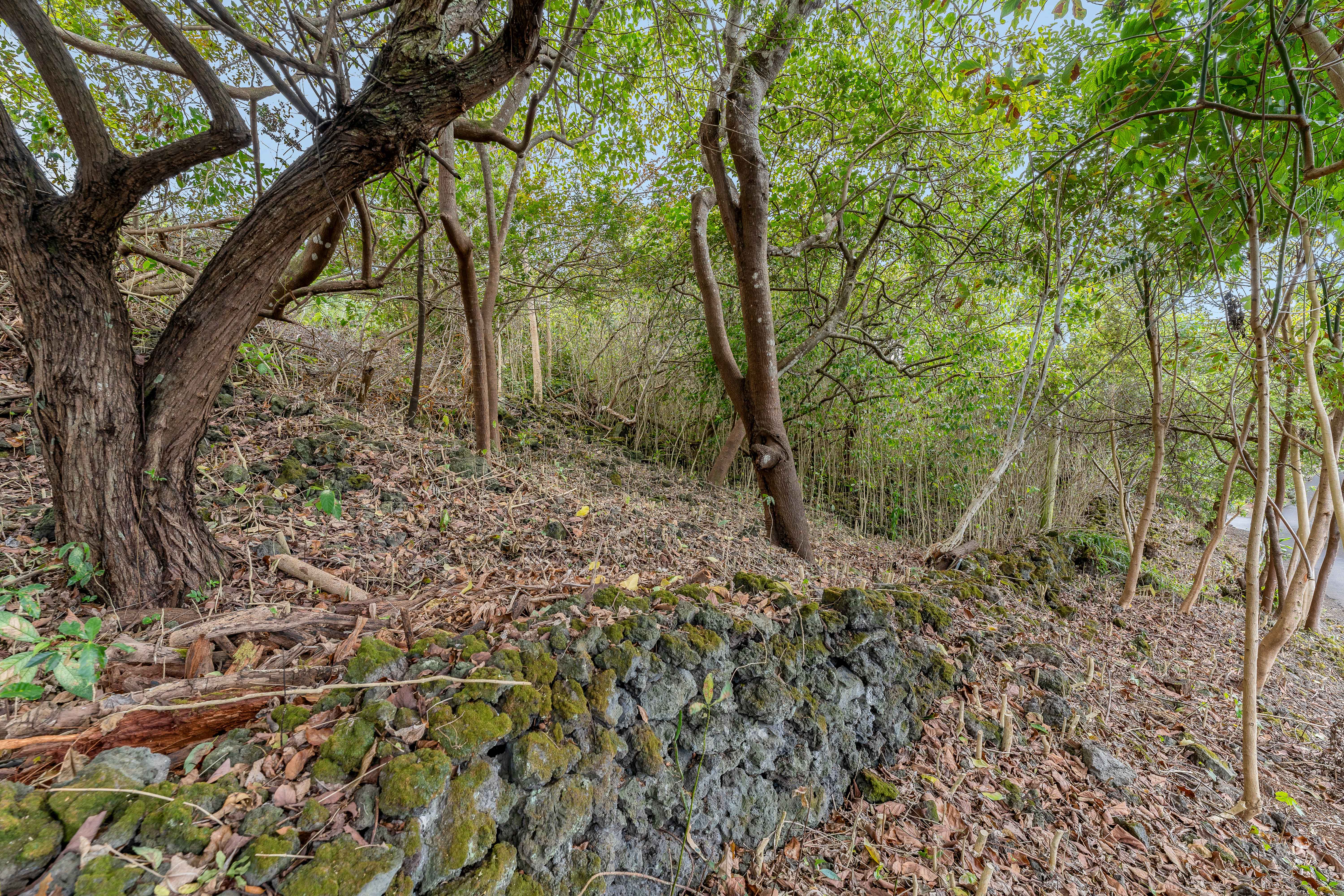 73-4597 Old Government Mauka Road Property Photo 2