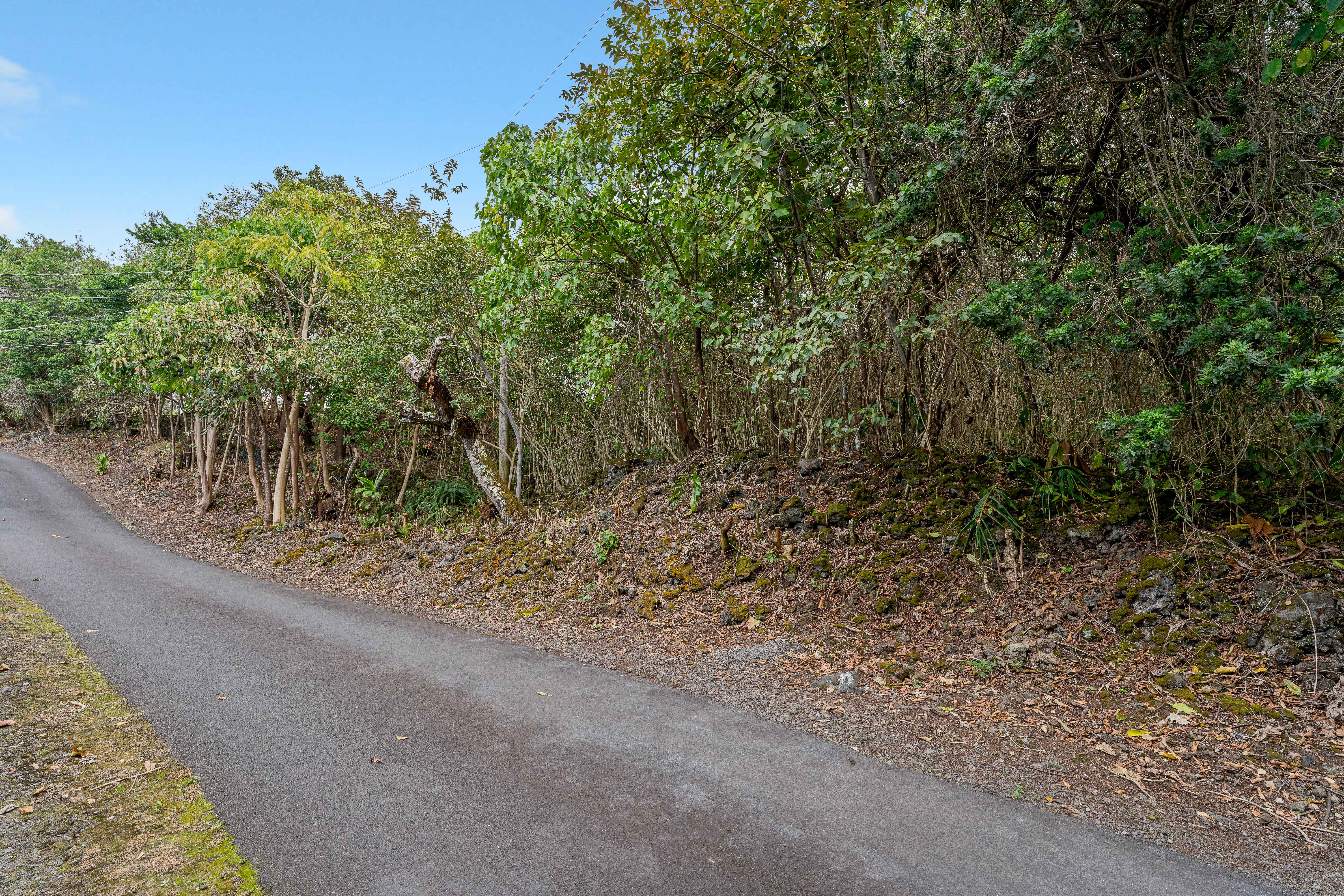 73-4597 Old Government Mauka Road Property Photo 4