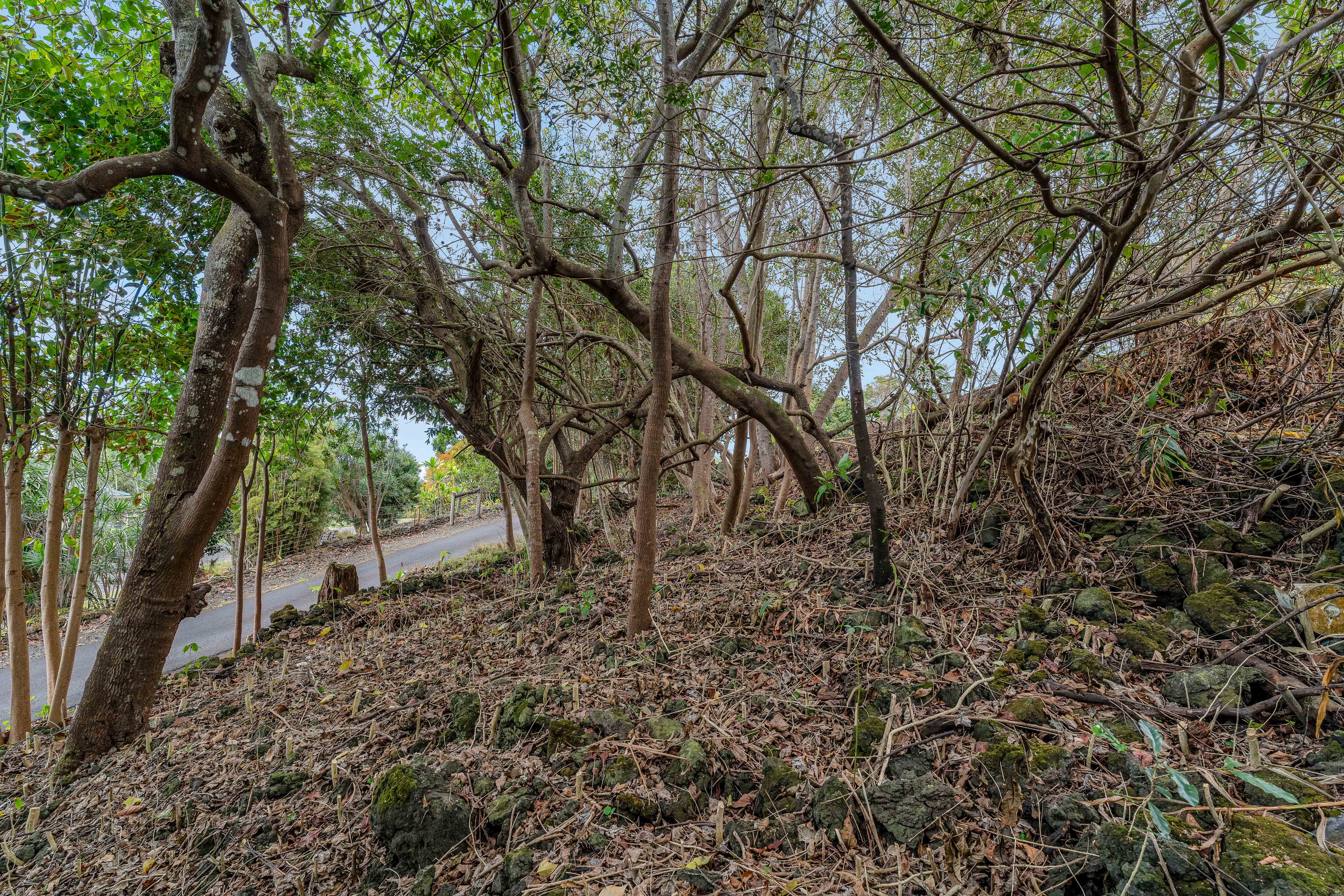 73-4597 Old Government Mauka Road Property Photo 5