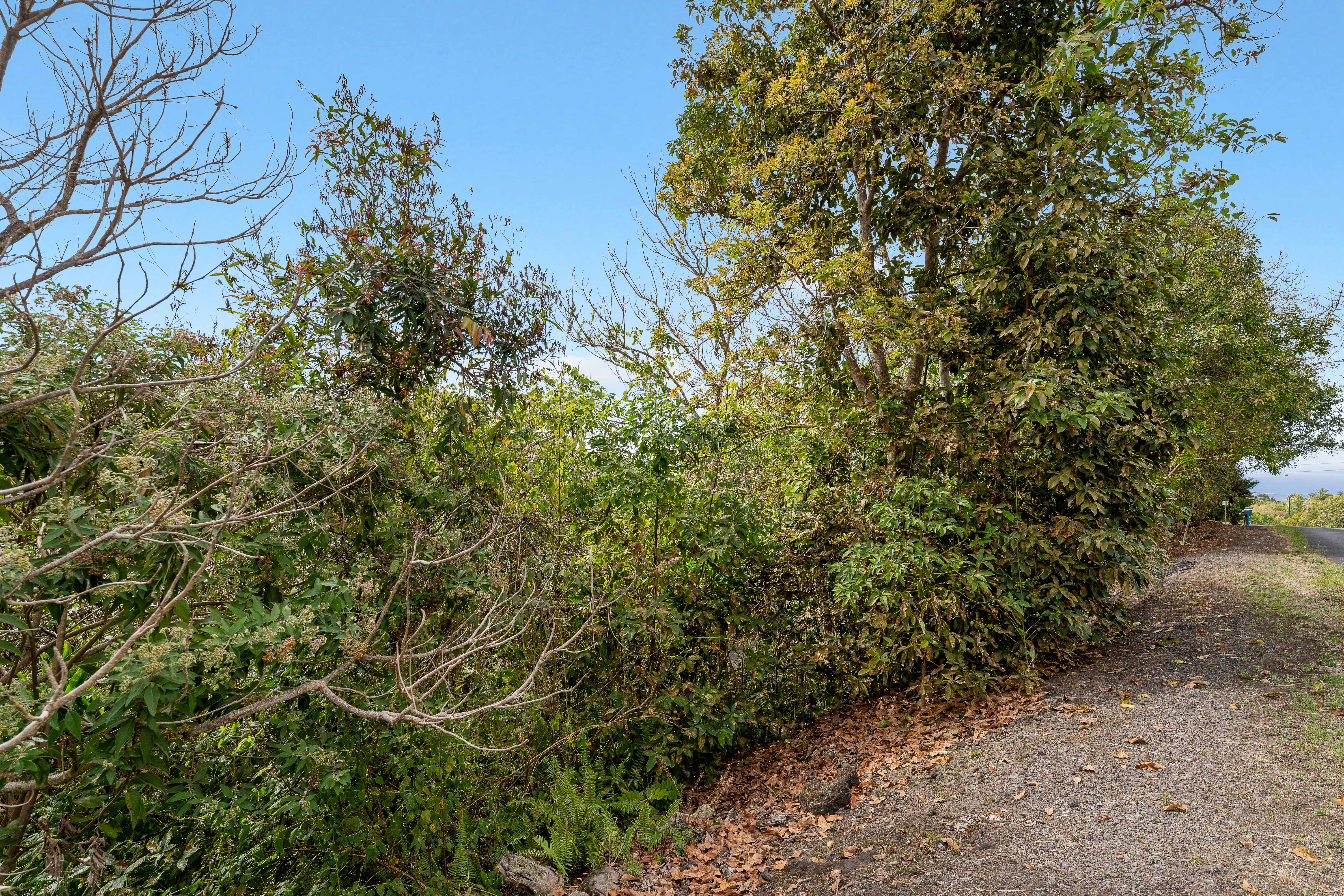 73-4597 Old Government Mauka Road Property Photo 7