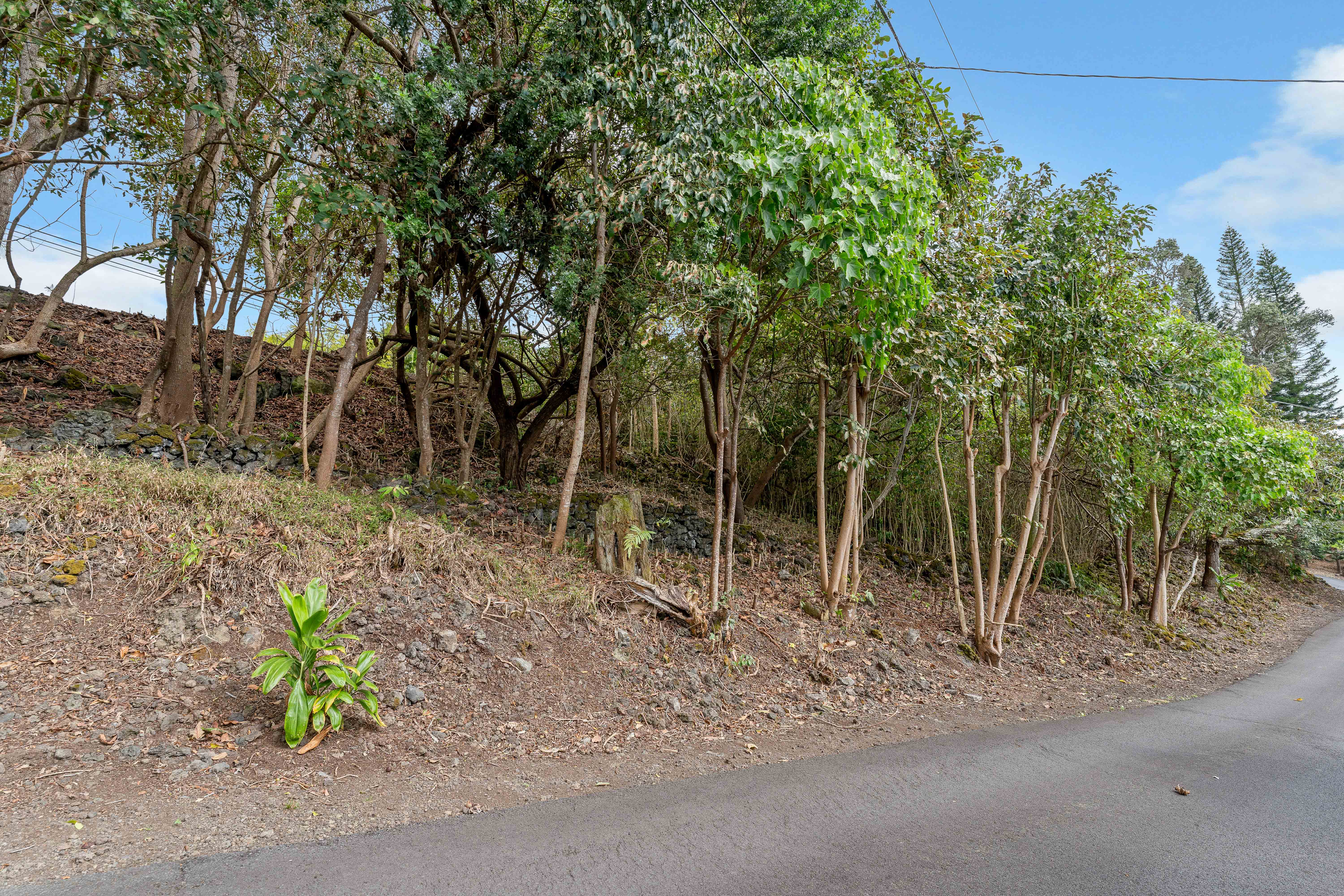 73-4597 Old Government Mauka Road Property Photo 9