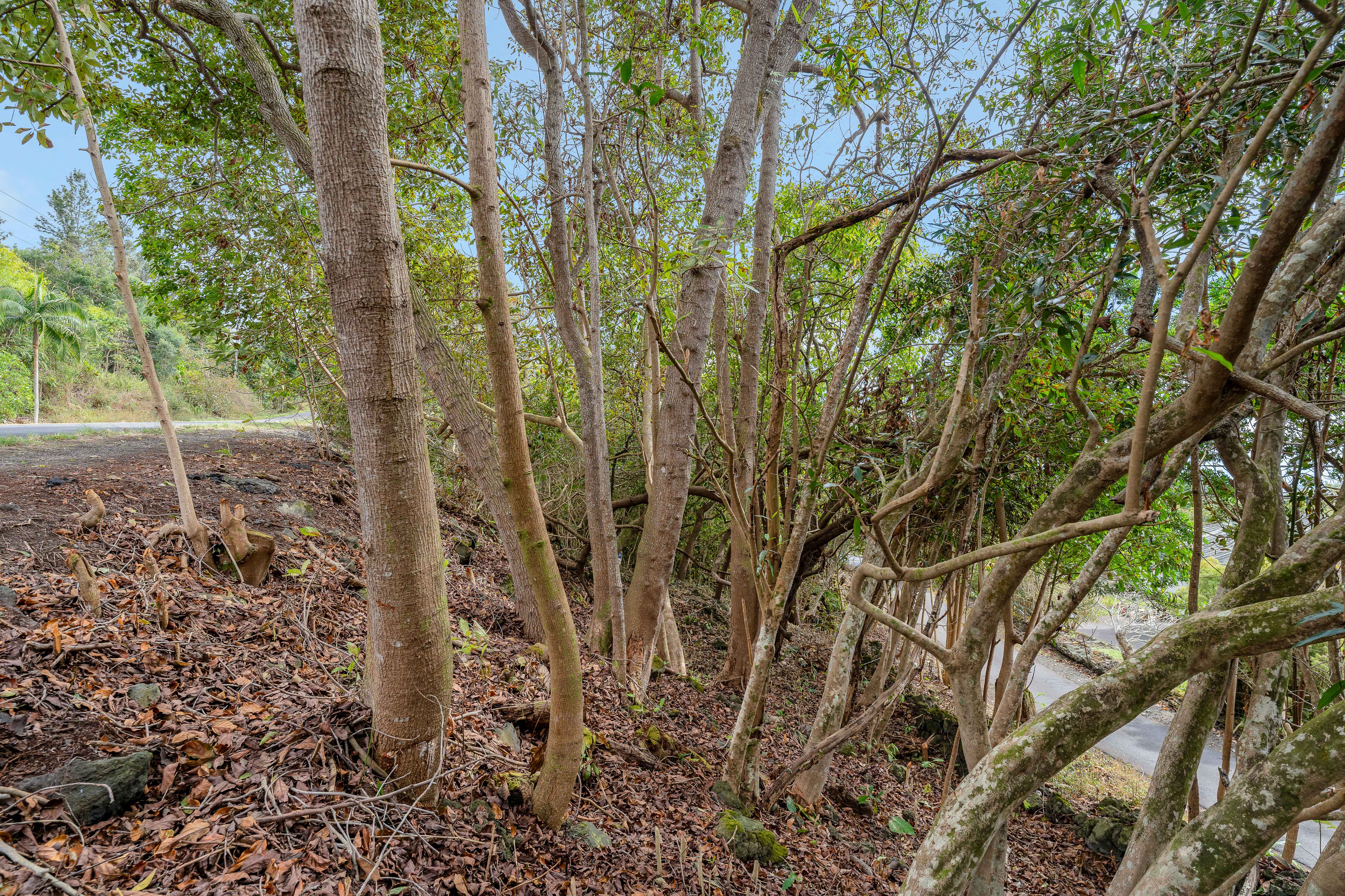 73-4597 Old Government Mauka Road Property Photo 10