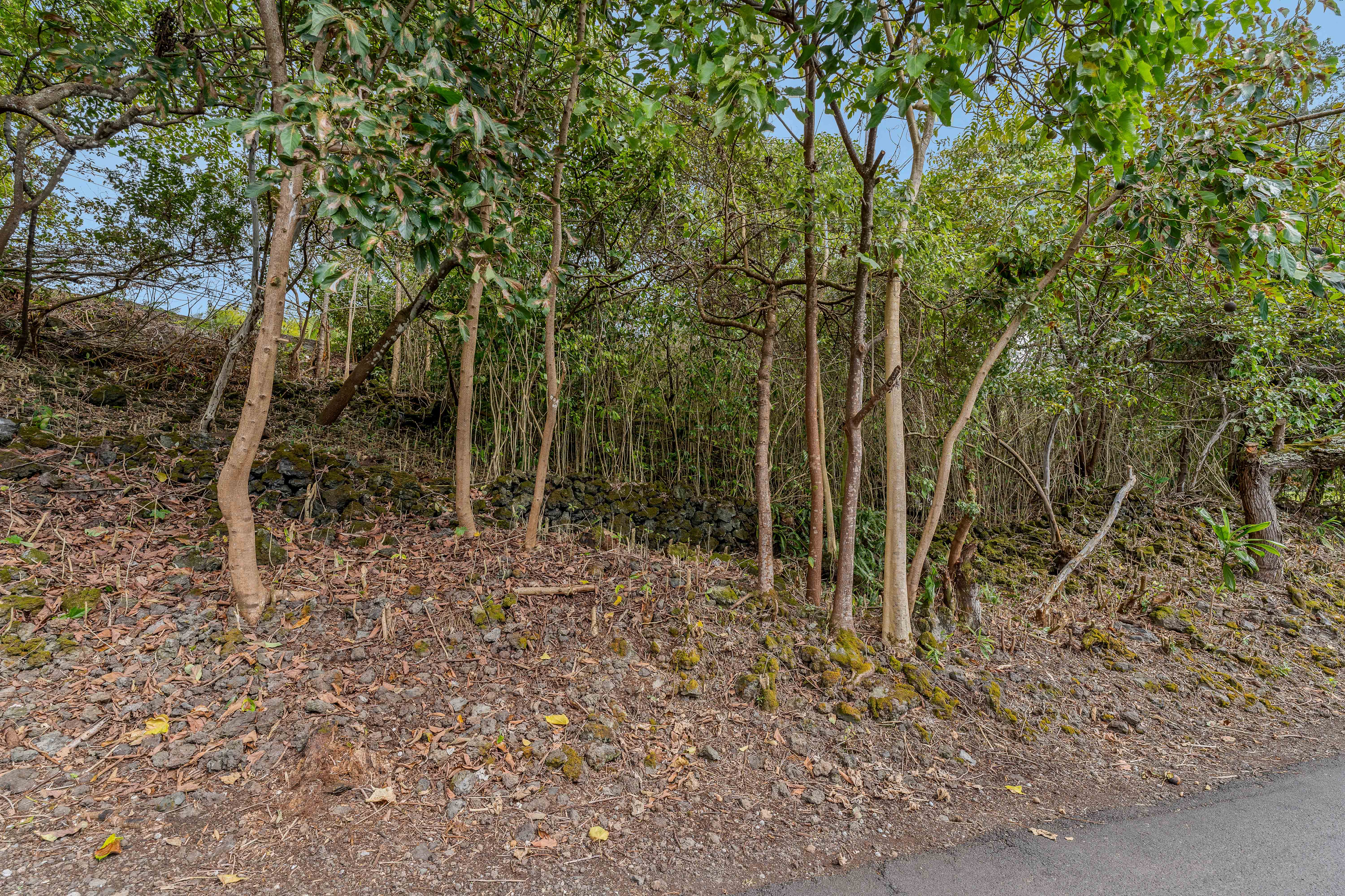 73-4597 Old Government Mauka Road Property Photo 12