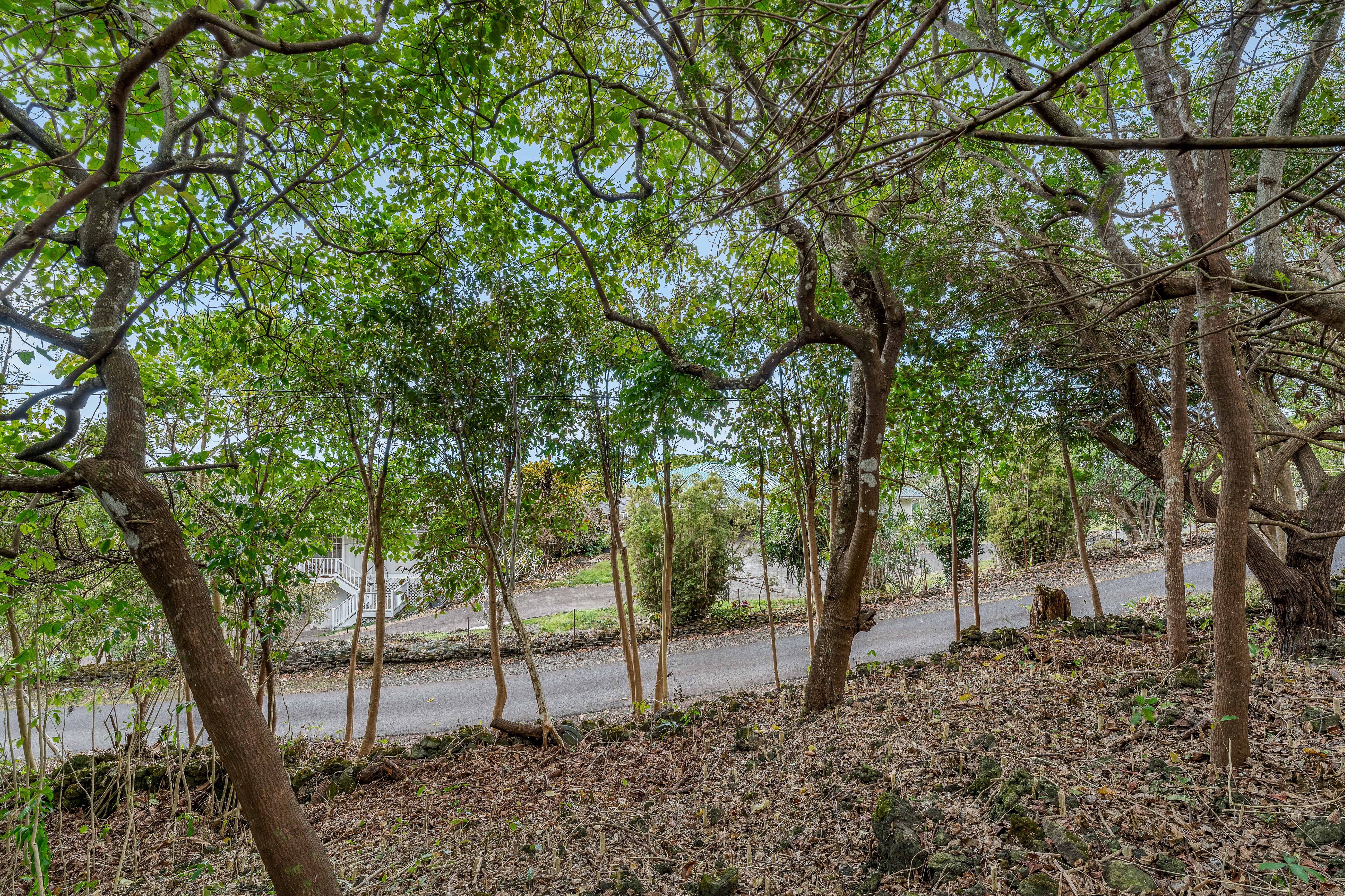 73-4597 Old Government Mauka Road Property Photo 13