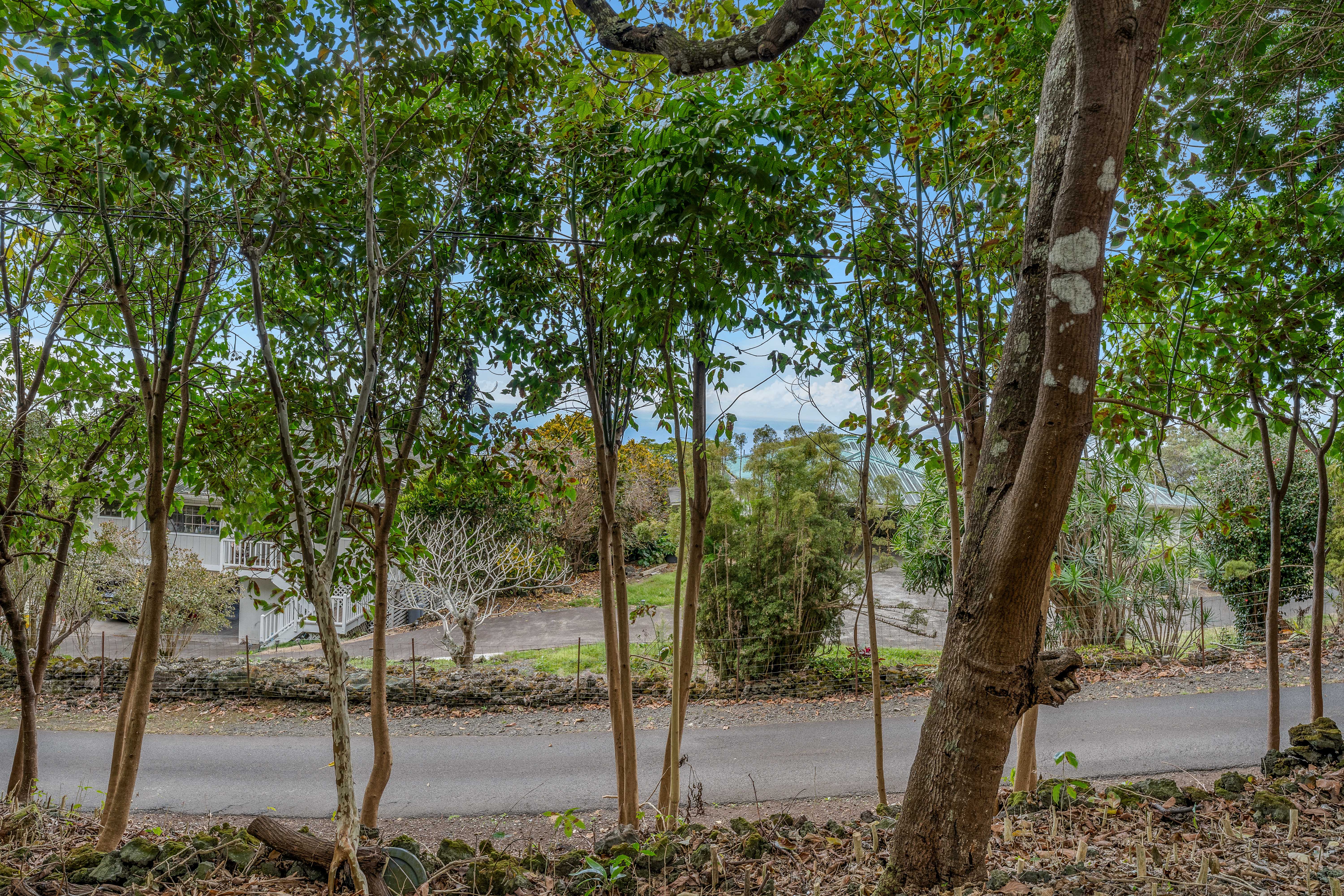 73-4597 Old Government Mauka Road Property Photo 15