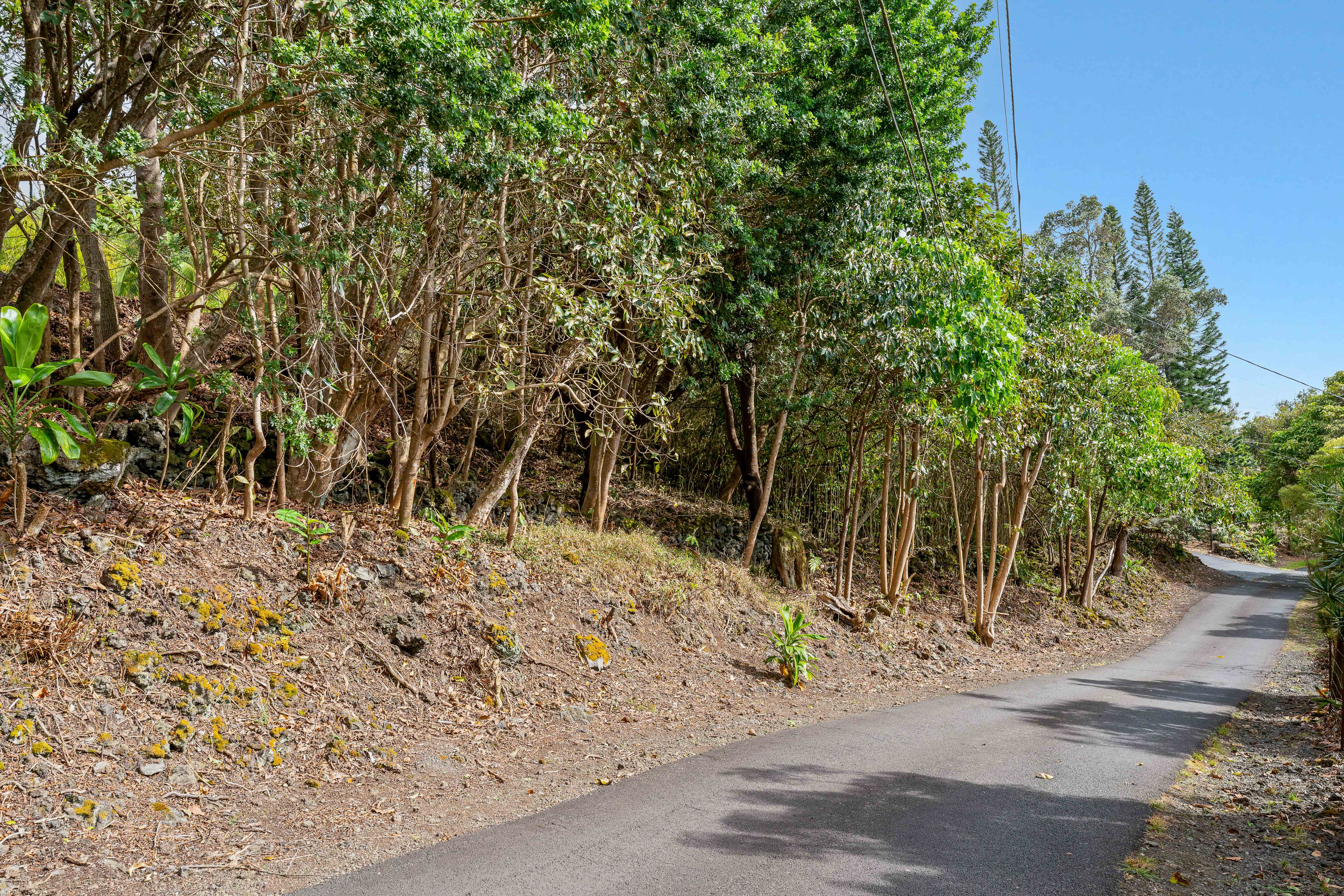 73-4597 Old Government Mauka Road Property Photo 17