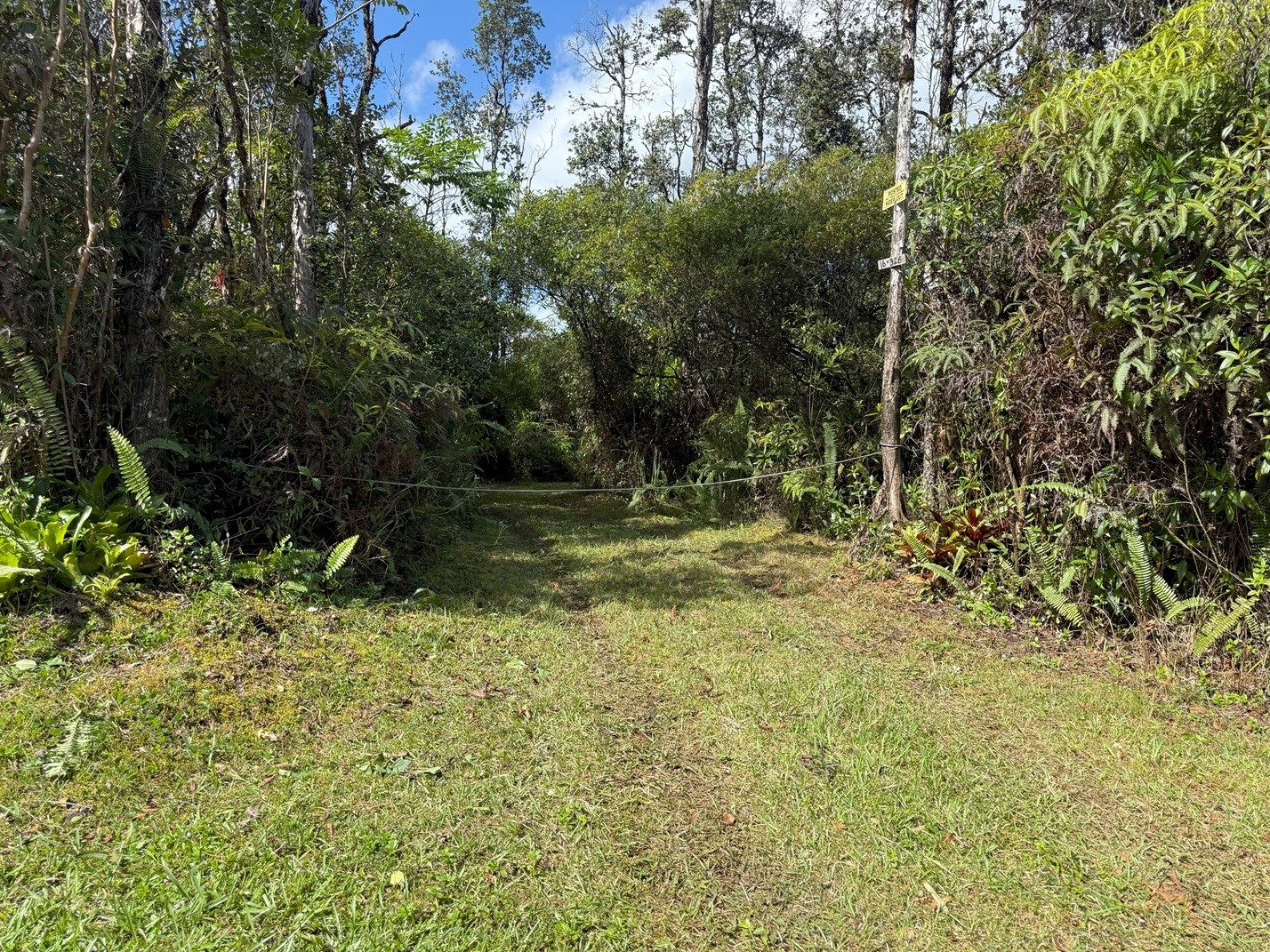 16-326 Kiele St Property Photo 2