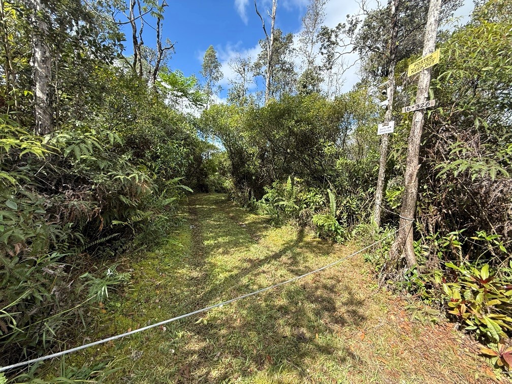 16-326 Kiele St Property Photo 4