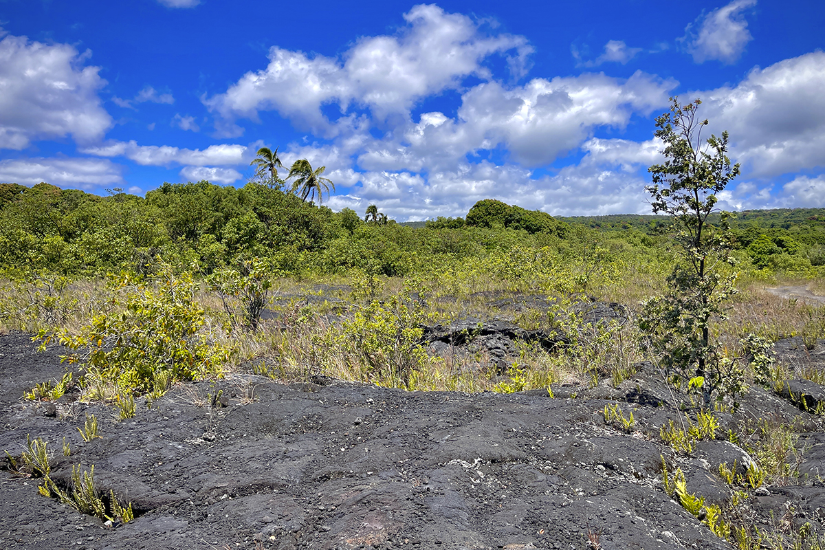 12-4786 Kaimu Chain Of Craters Rd Property Photo 1