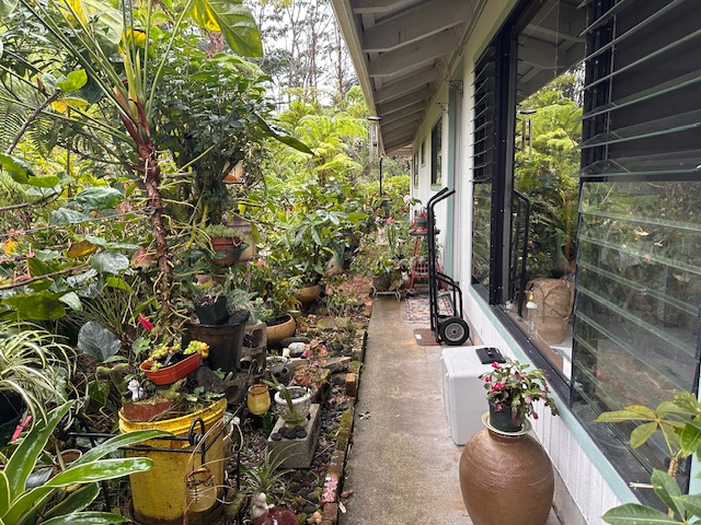 1379 Mele Manu St Property Photo 2