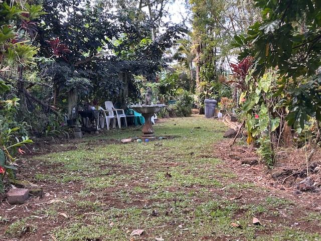 1379 Mele Manu St Property Photo 3