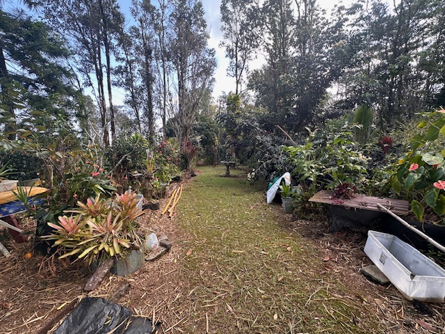1379 Mele Manu St Property Photo 13