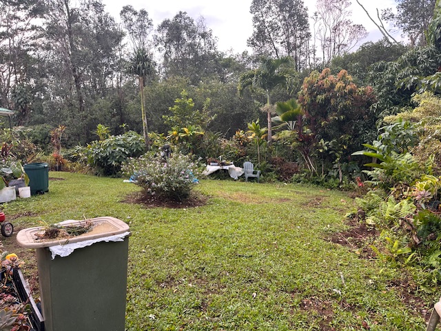 1379 Mele Manu St Property Photo 17