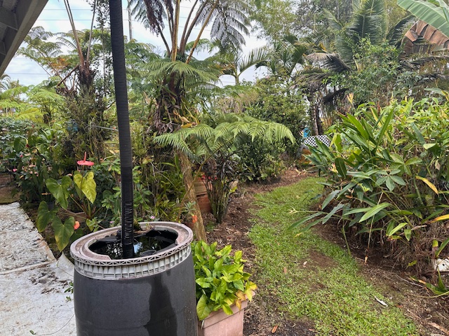 1379 Mele Manu St Property Photo 19