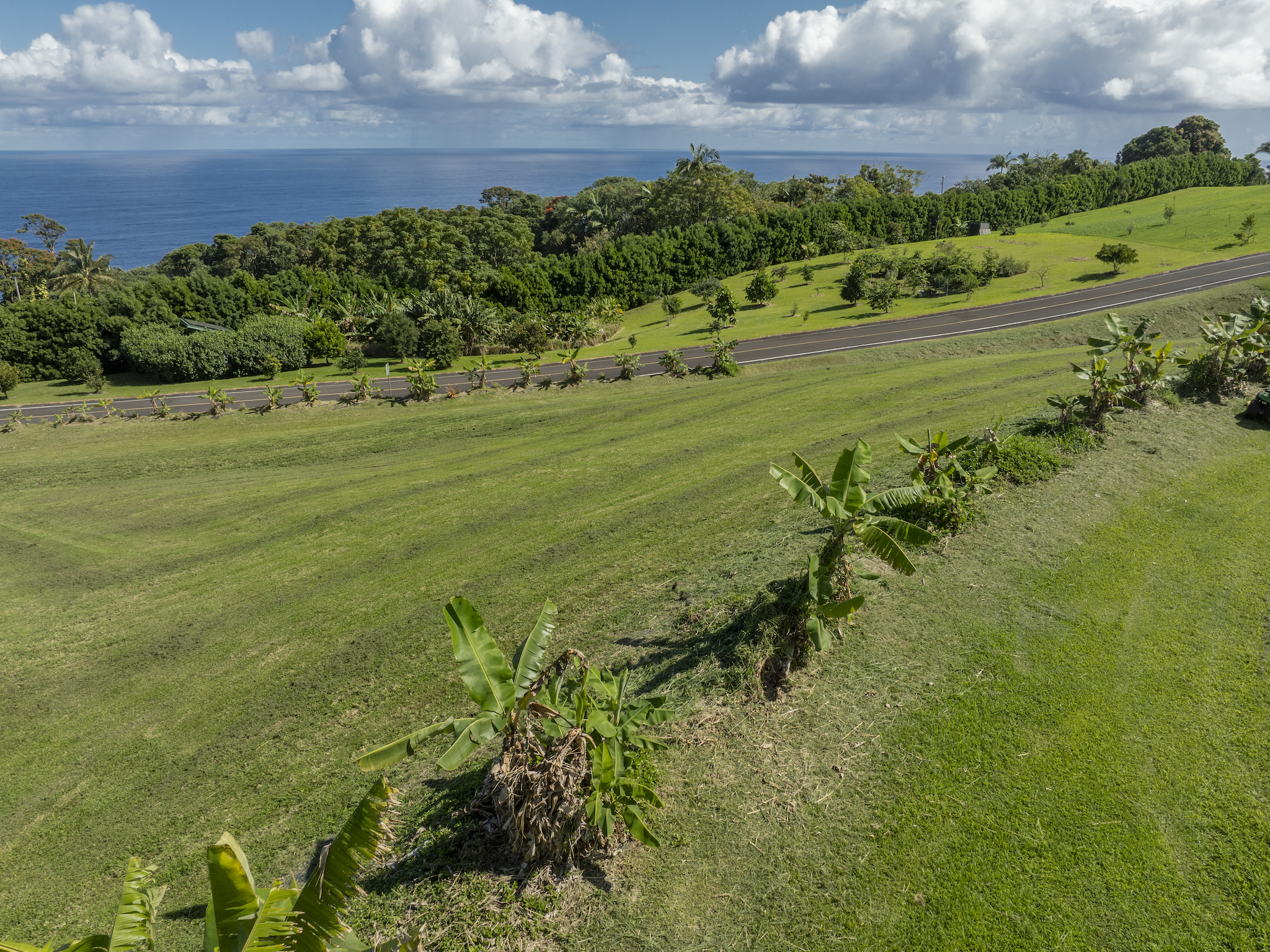 36-3326 Kuwili Lani Pl Property Photo 12