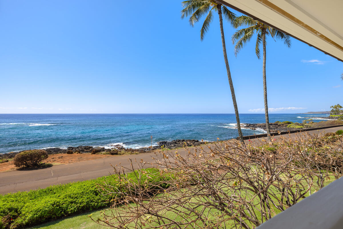 2221 Kapili Rd 4 Property Photo 13