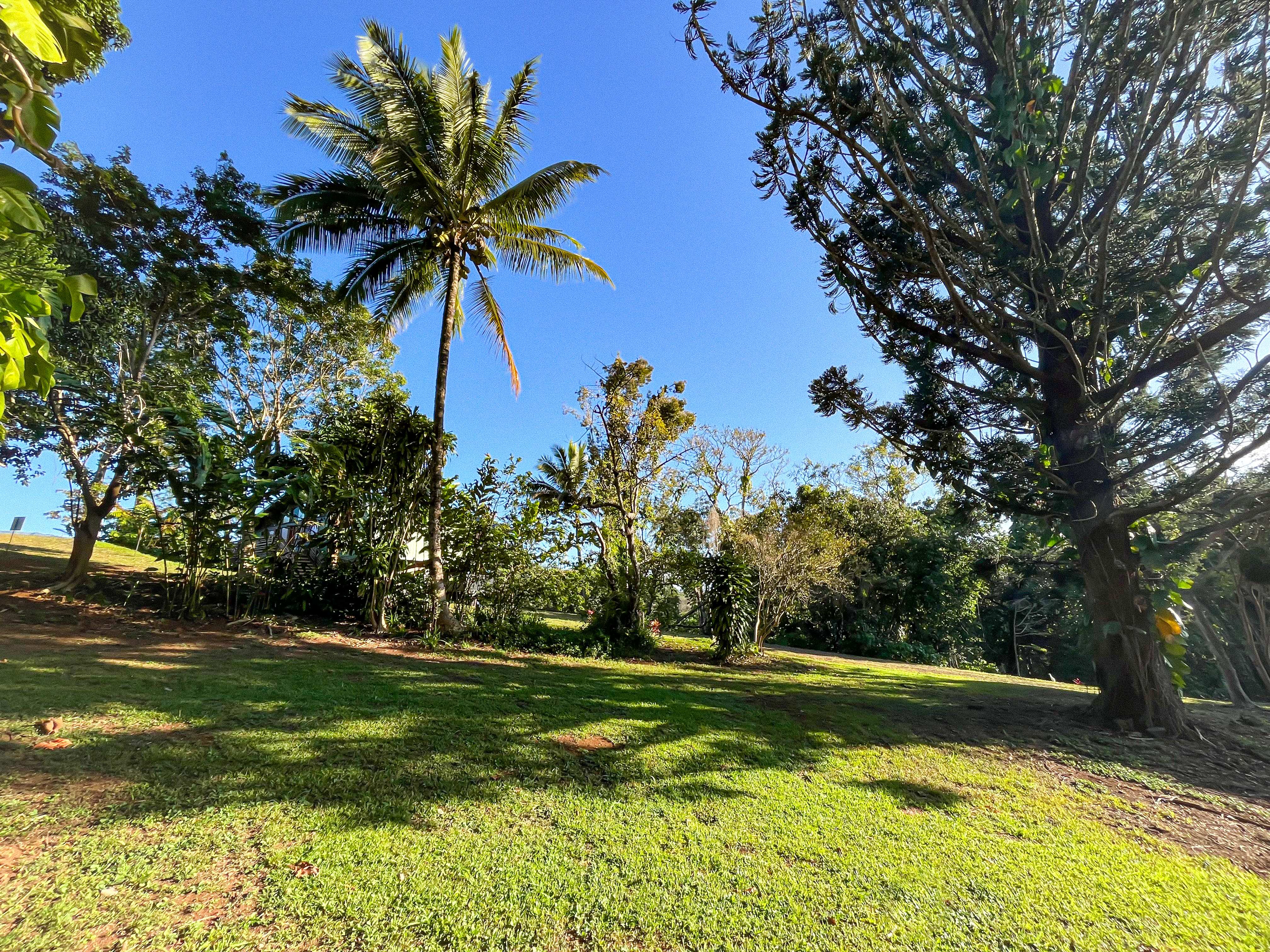 6546 Kuamoo Rd 1 Property Photo
