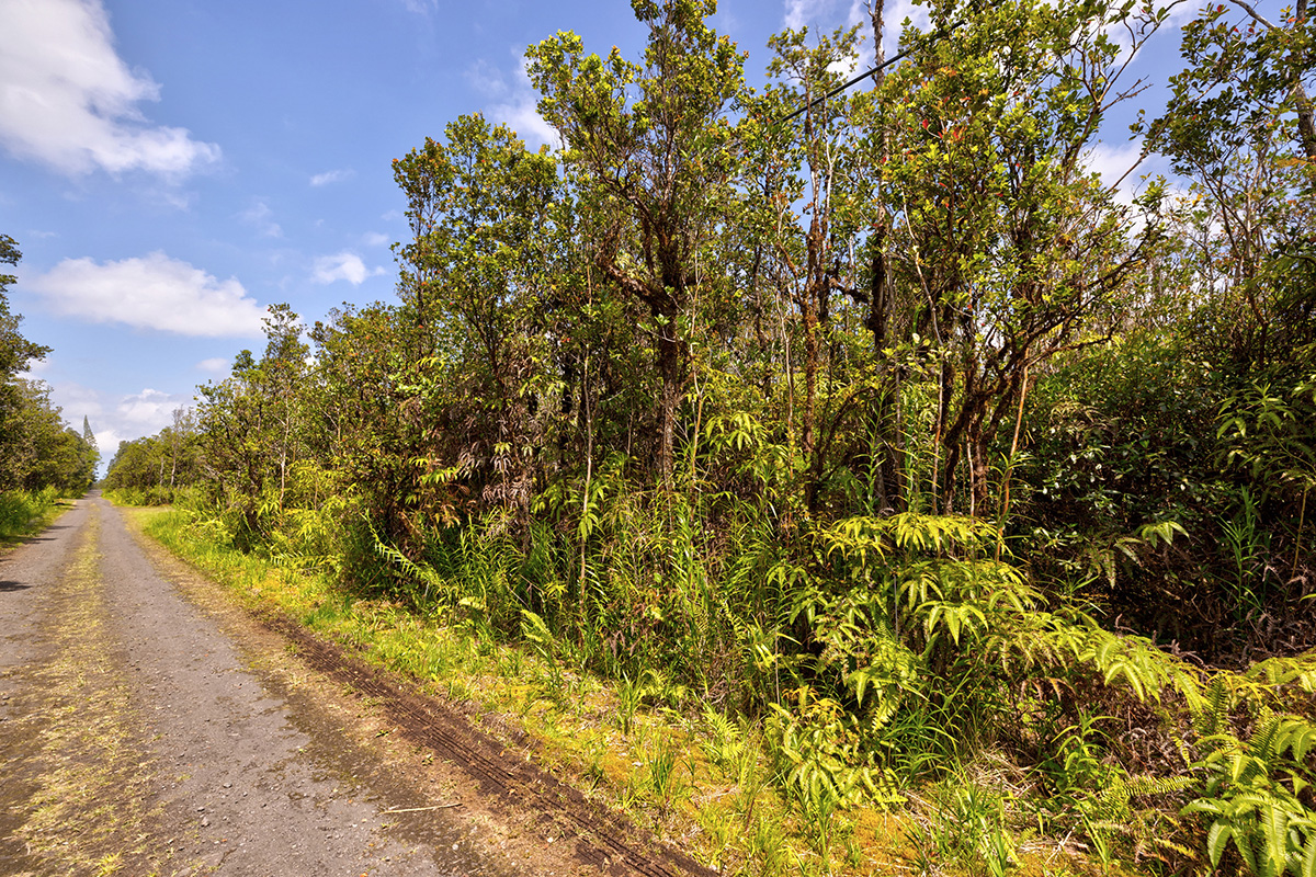 Alapua St Property Photo 2