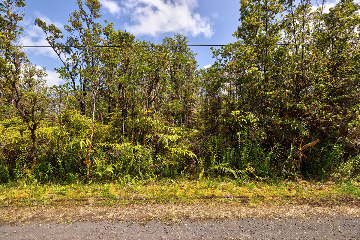 Alapua St Property Photo 3
