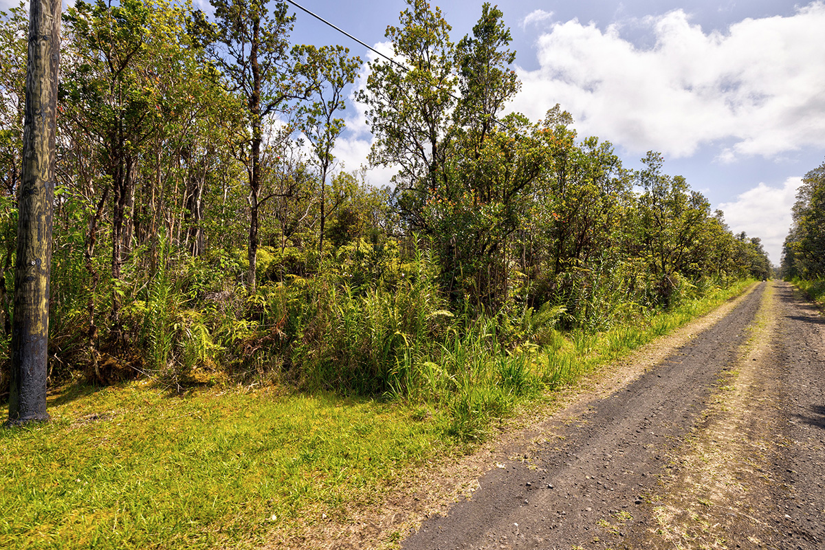Alapua St Property Photo 4