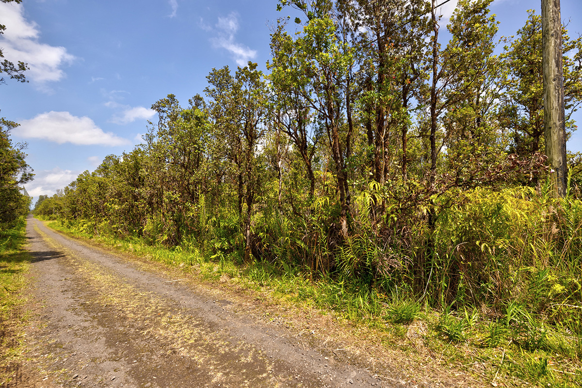 Alapua St Property Photo 2