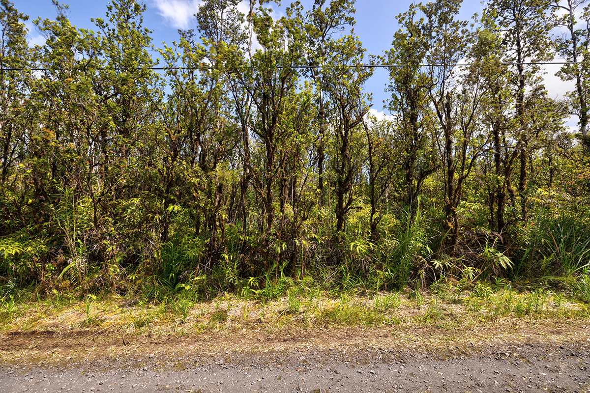 Alapua St Property Photo 3