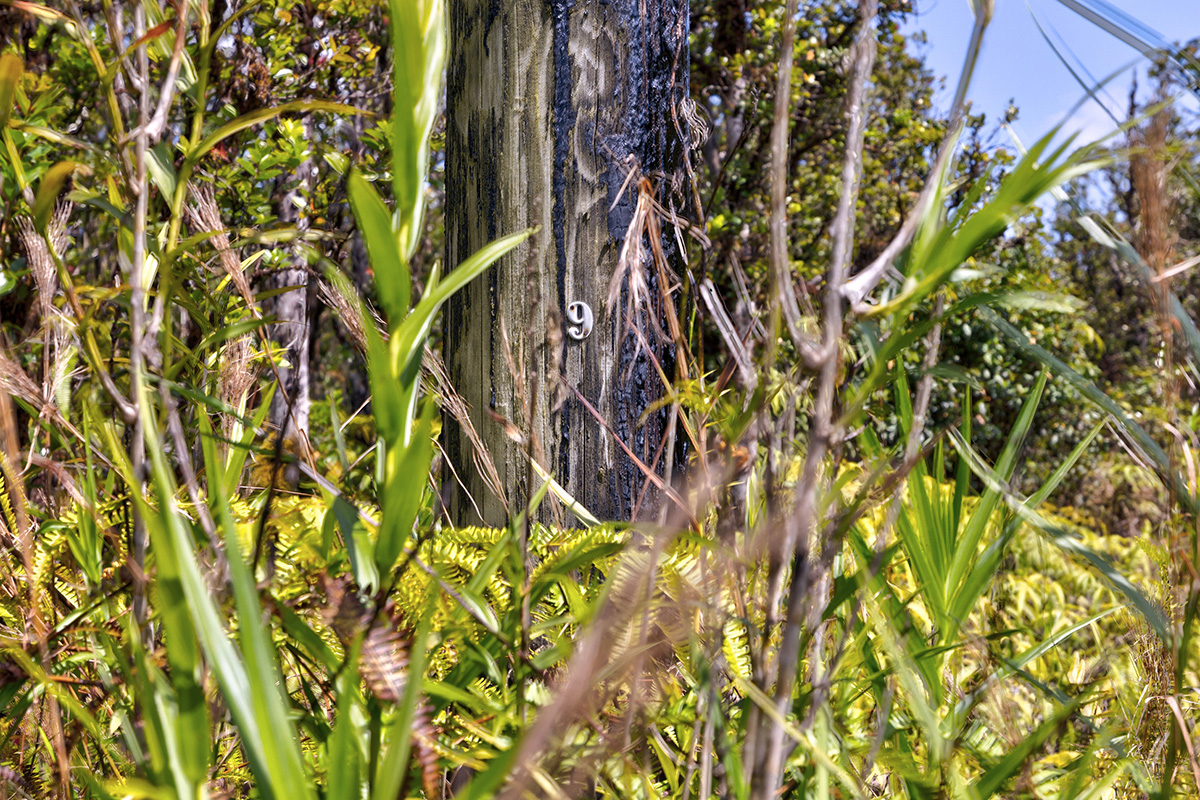 Alapua St Property Photo 6