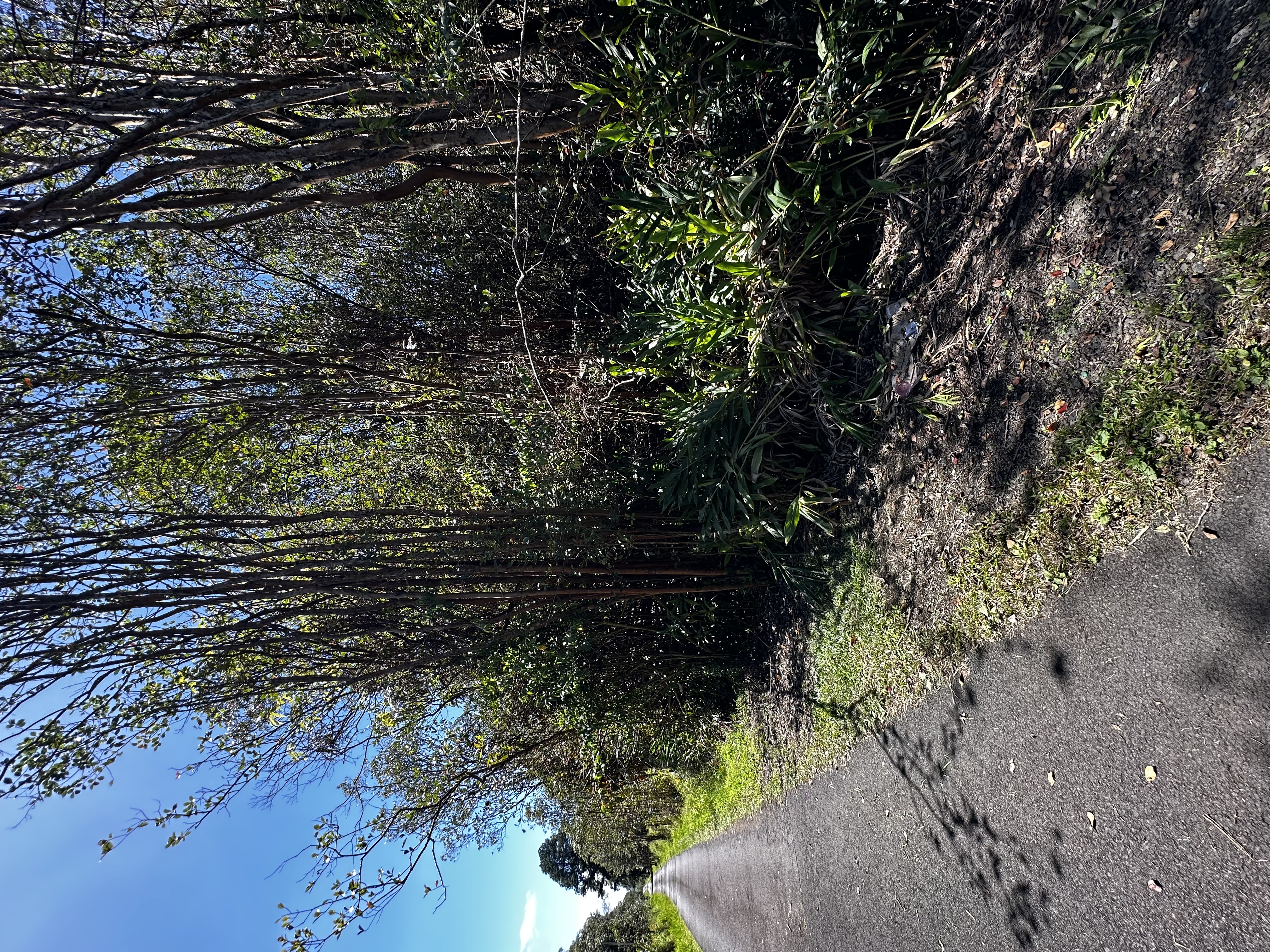 Road 5 Property Photo