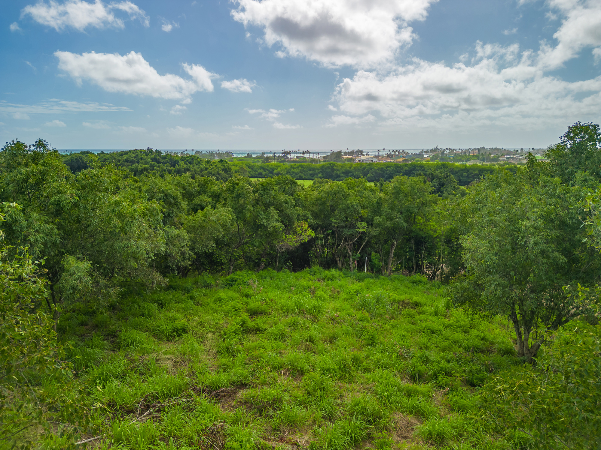 Apopo Rd Property Photo