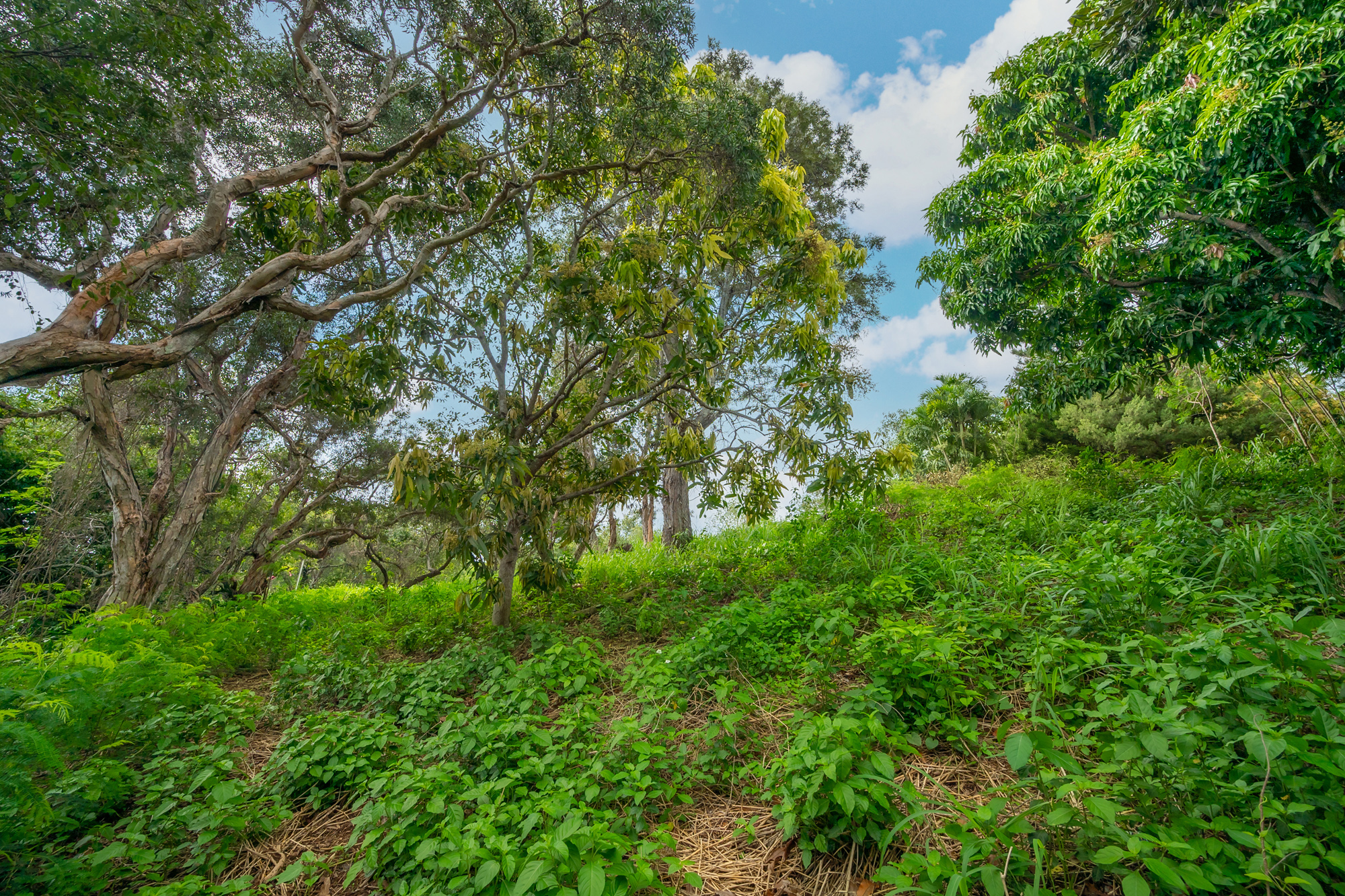 Apopo Rd Property Photo 8