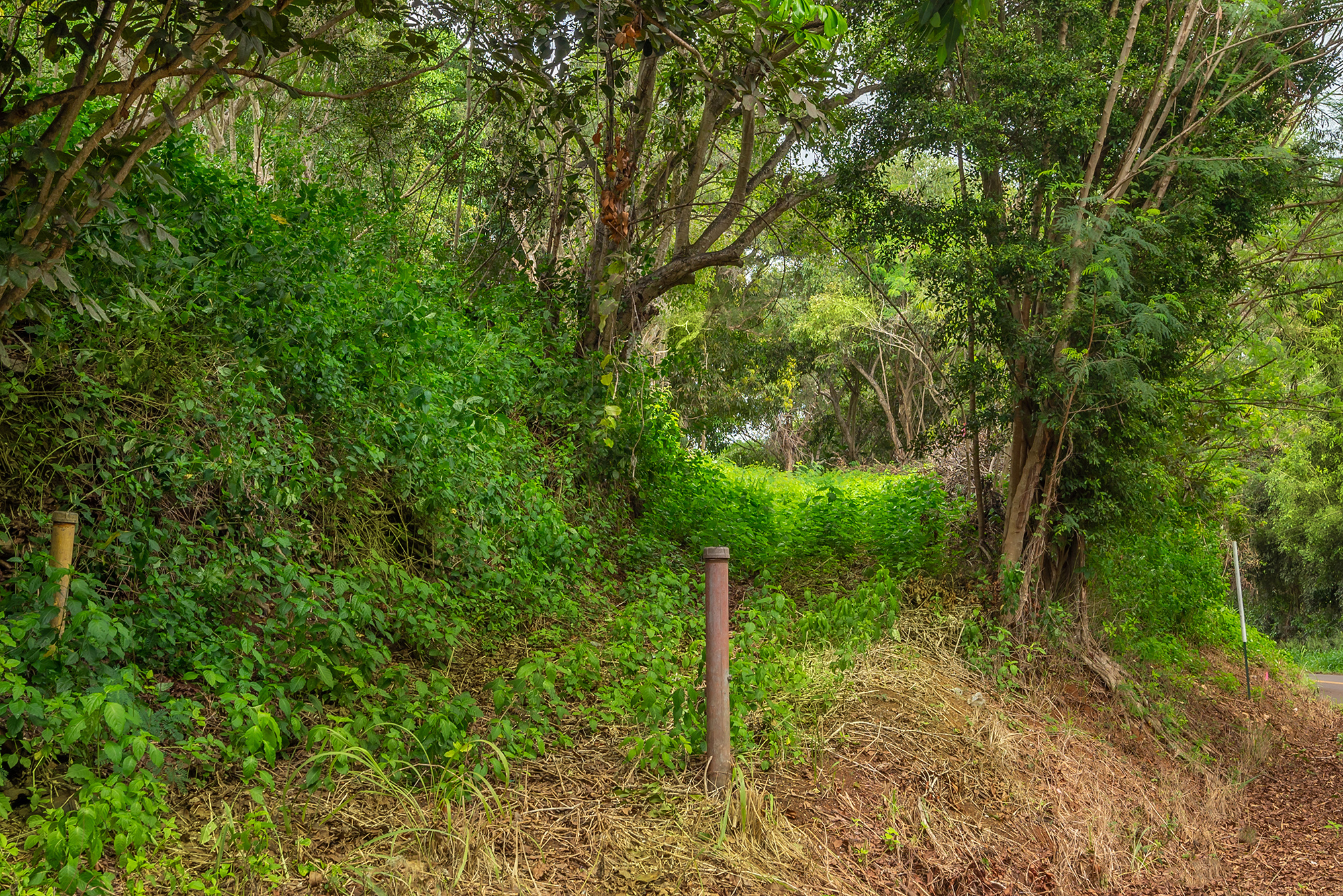 Apopo Rd Property Photo 14