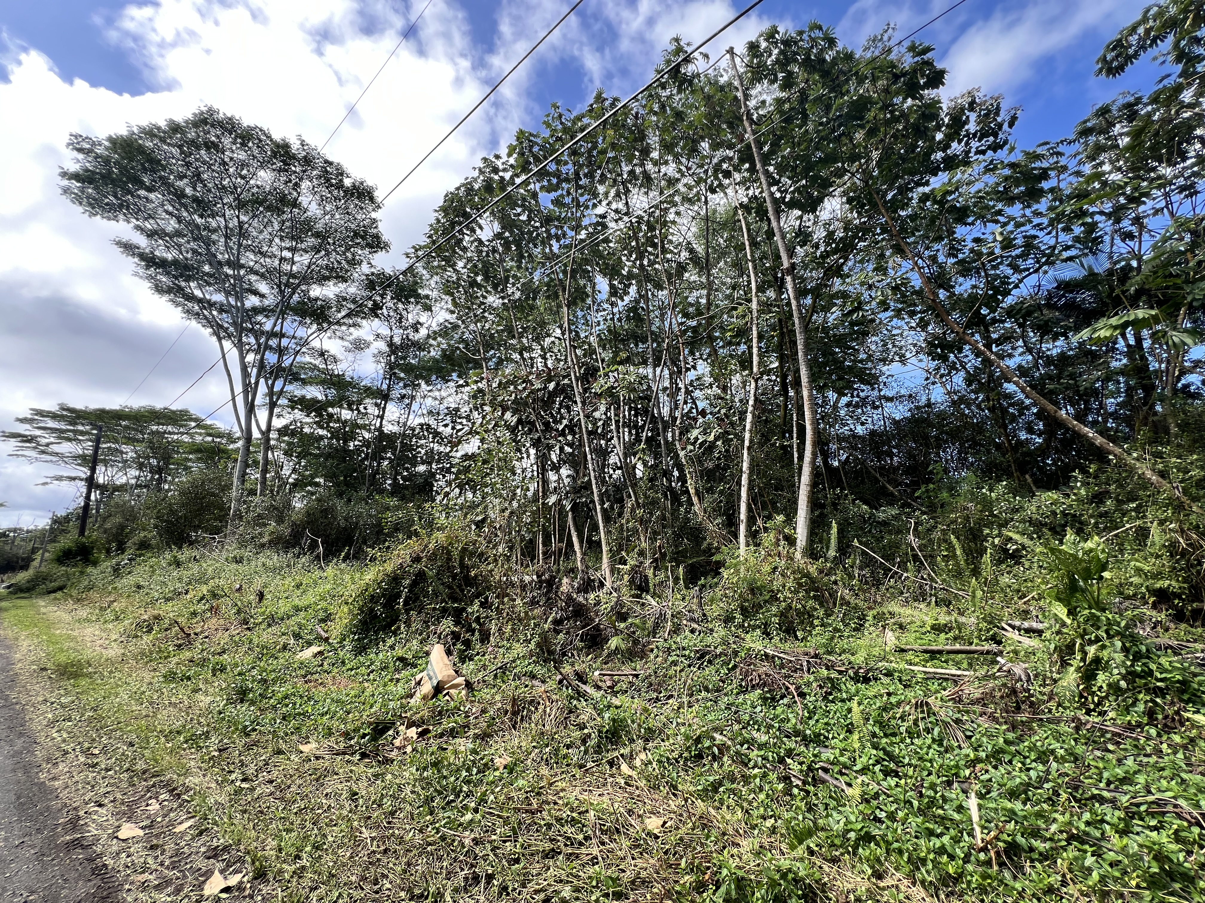 Mauna Kea Rd Property Photo 1