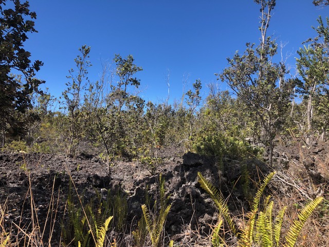Ohia Dr Property Photo 1