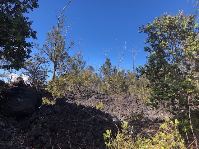 Ohia Dr Property Photo 2