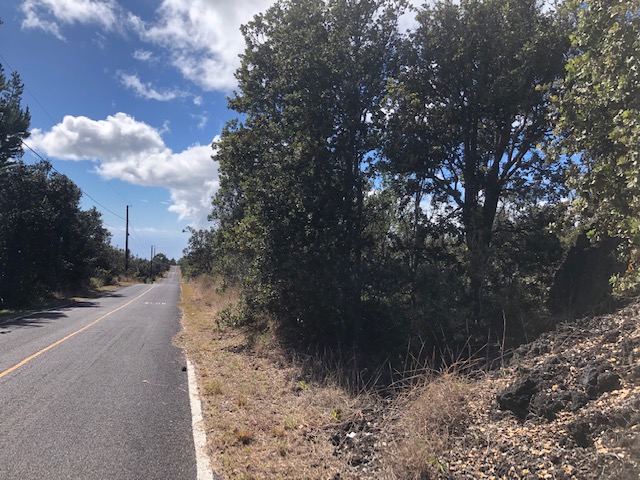 Ohia Dr Property Photo 6