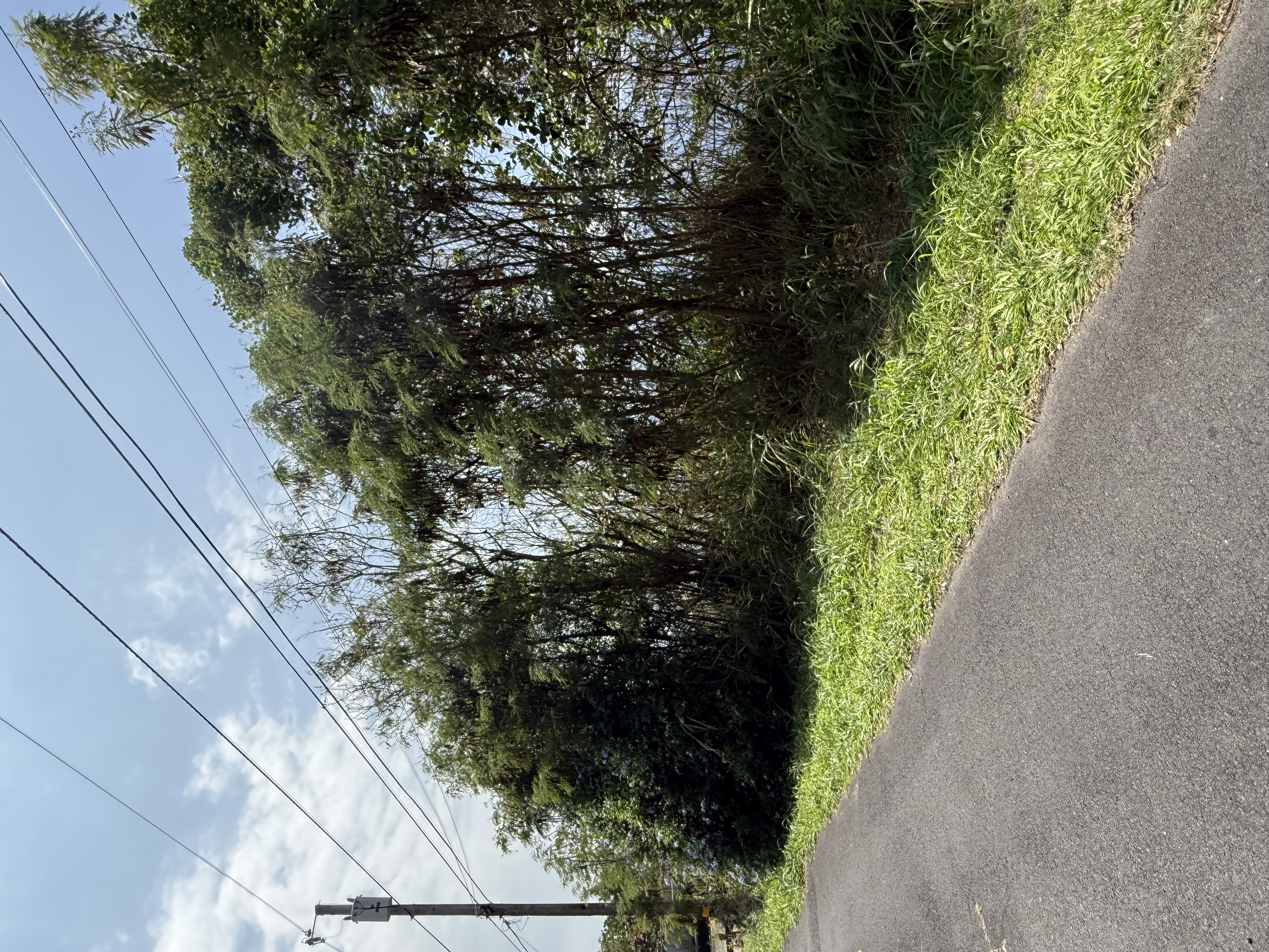 Ea Rd Property Photo 12
