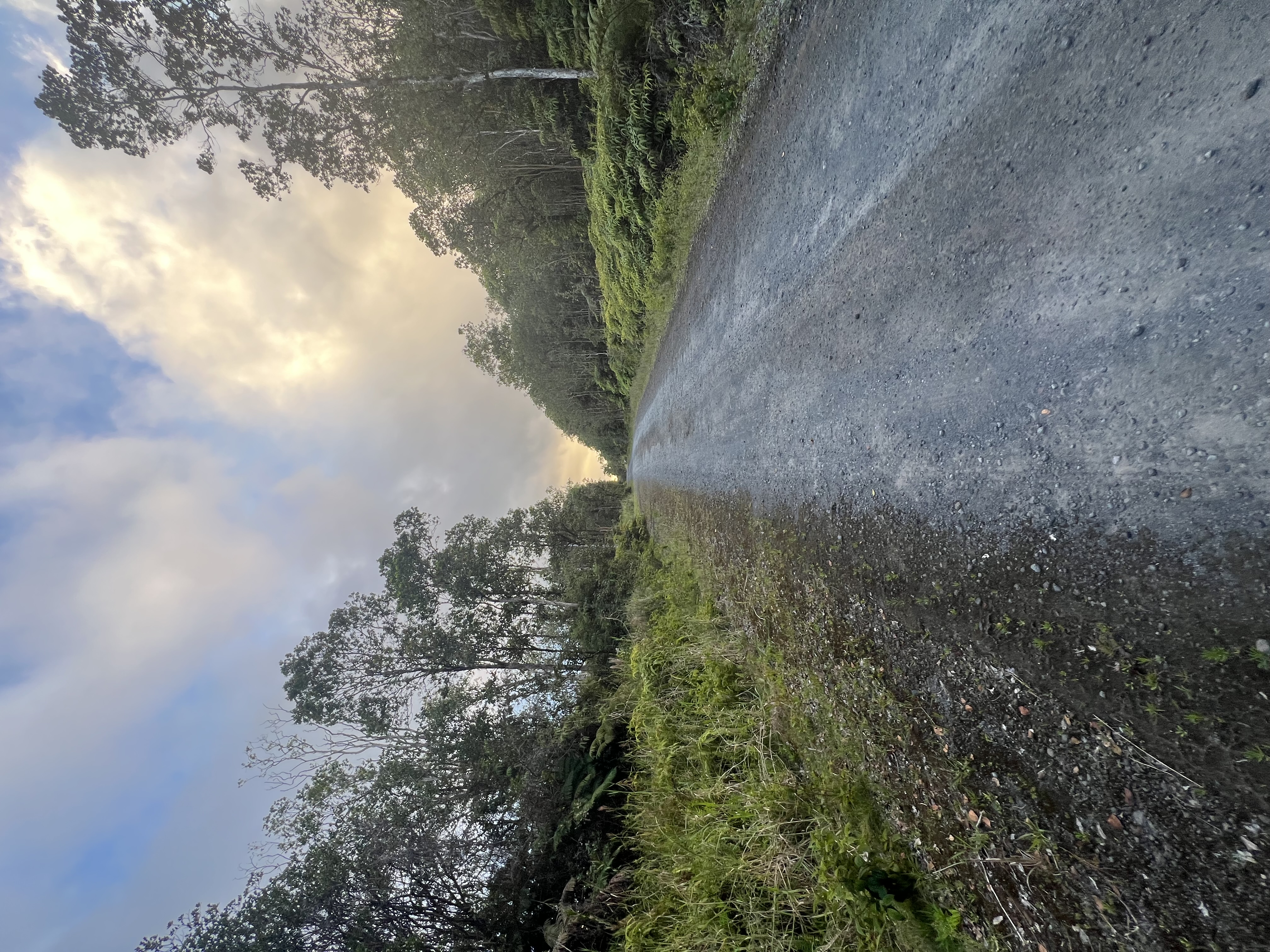 Road 7 Property Photo