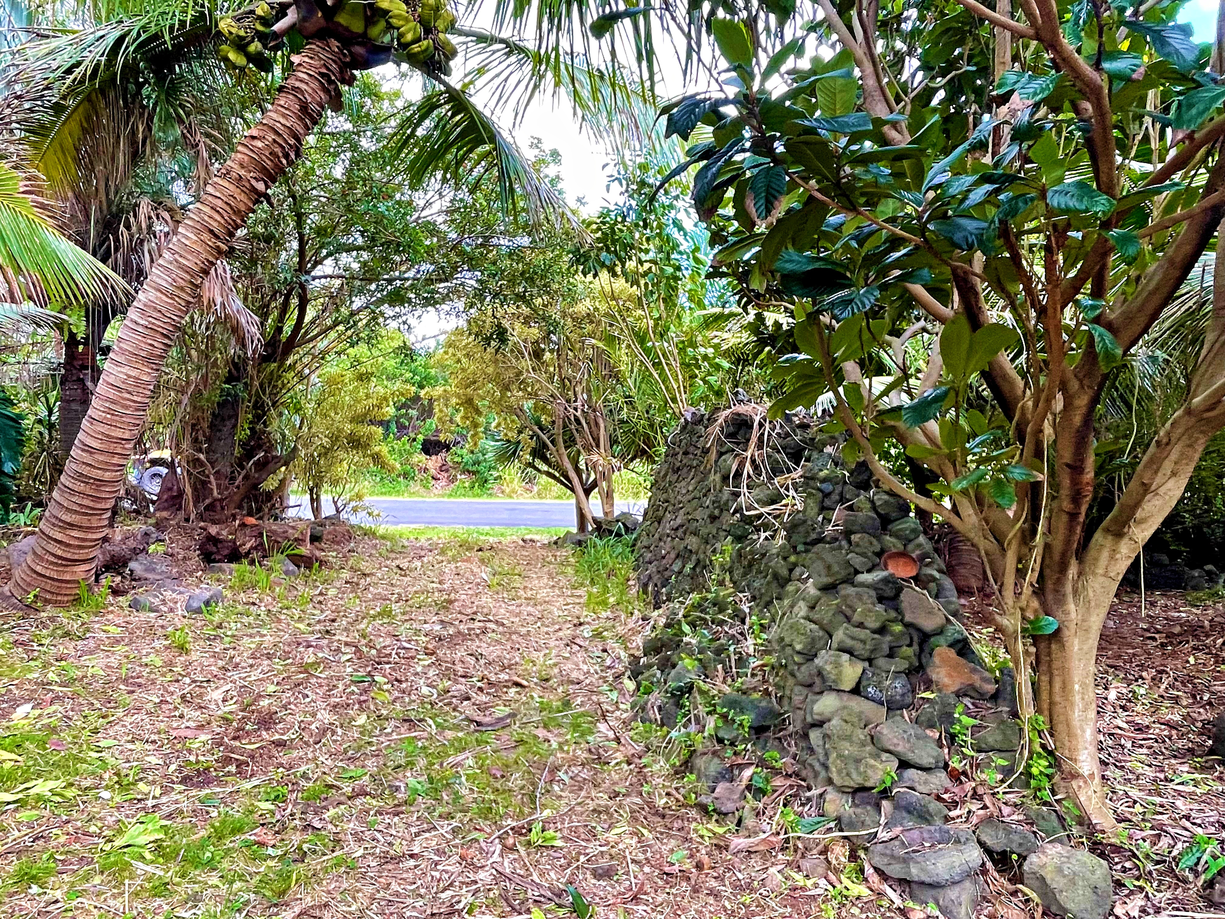 Haehae St Property Photo 1